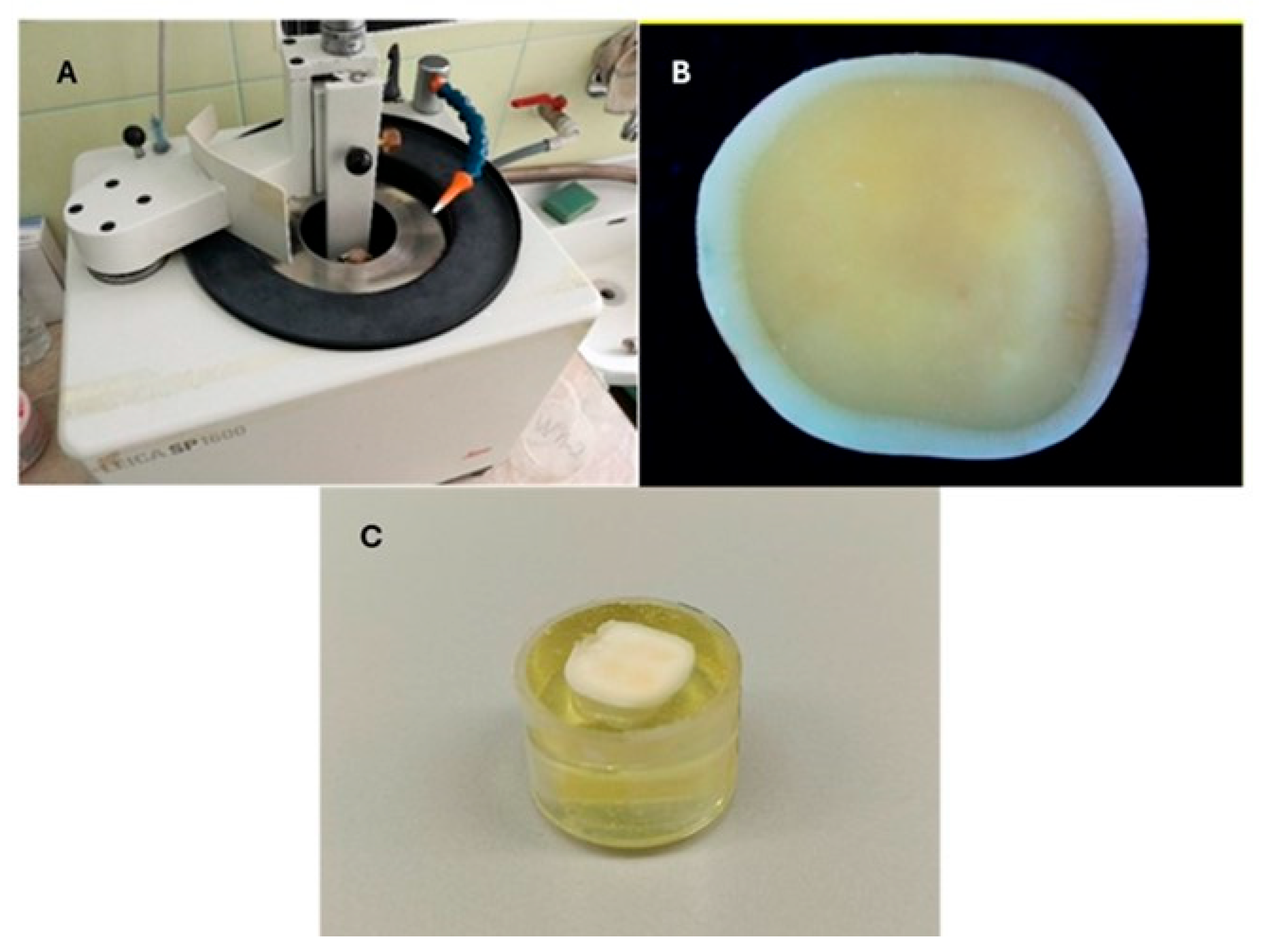 Jfb 16 00289 g001 Jfb 16 00289 g001