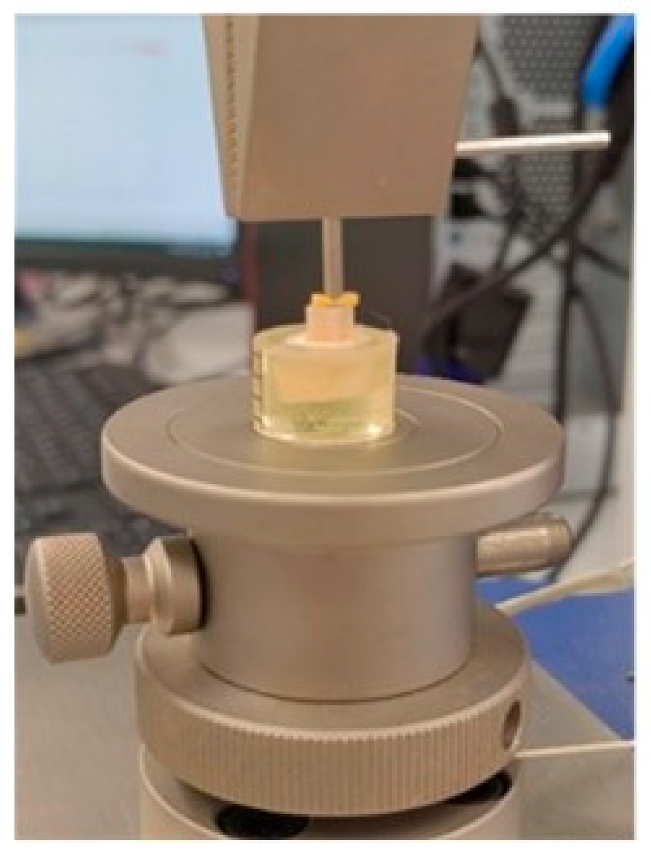 Jfb 16 00289 g003 Jfb 16 00289 g003