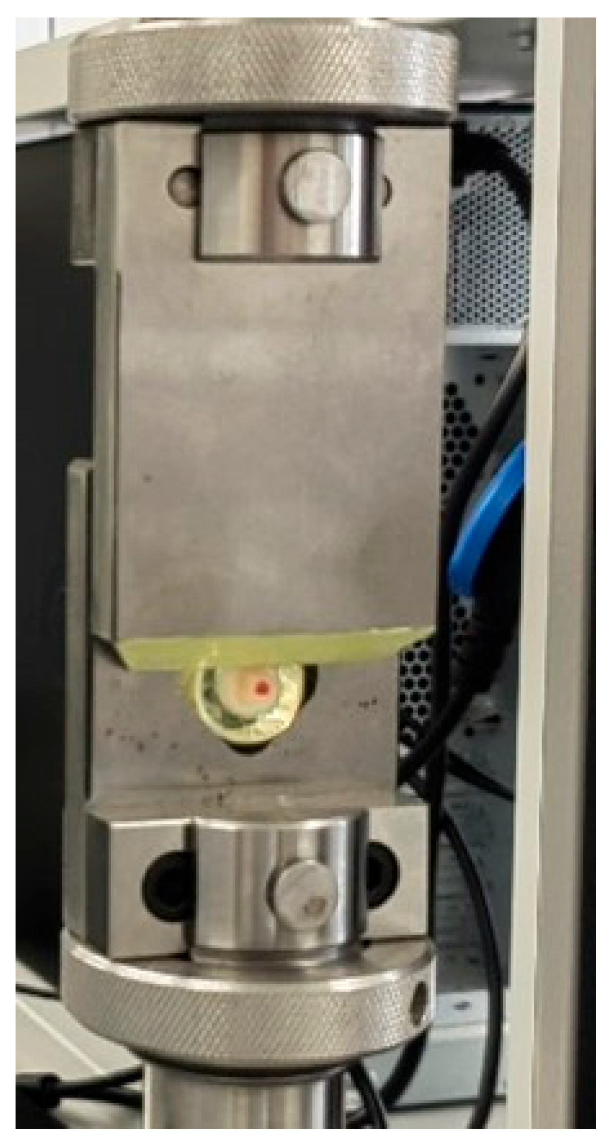 Jfb 16 00289 g004 Jfb 16 00289 g004