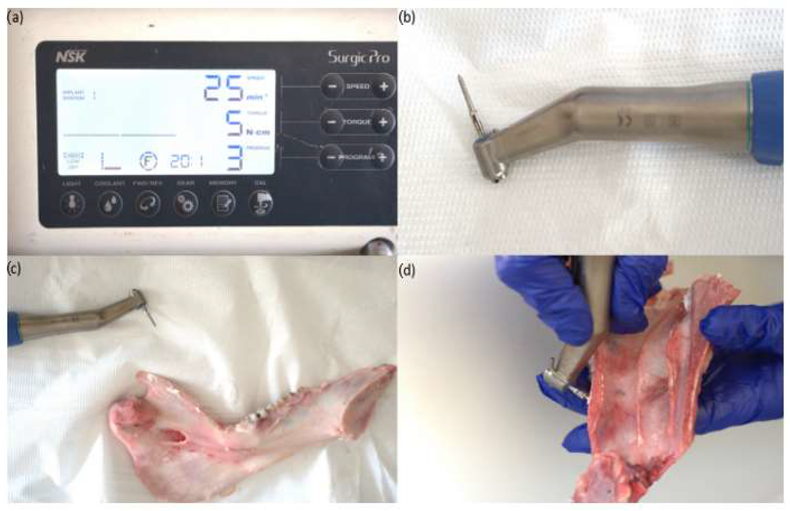 Jfb 16 00291 g004 Jfb 16 00291 g004