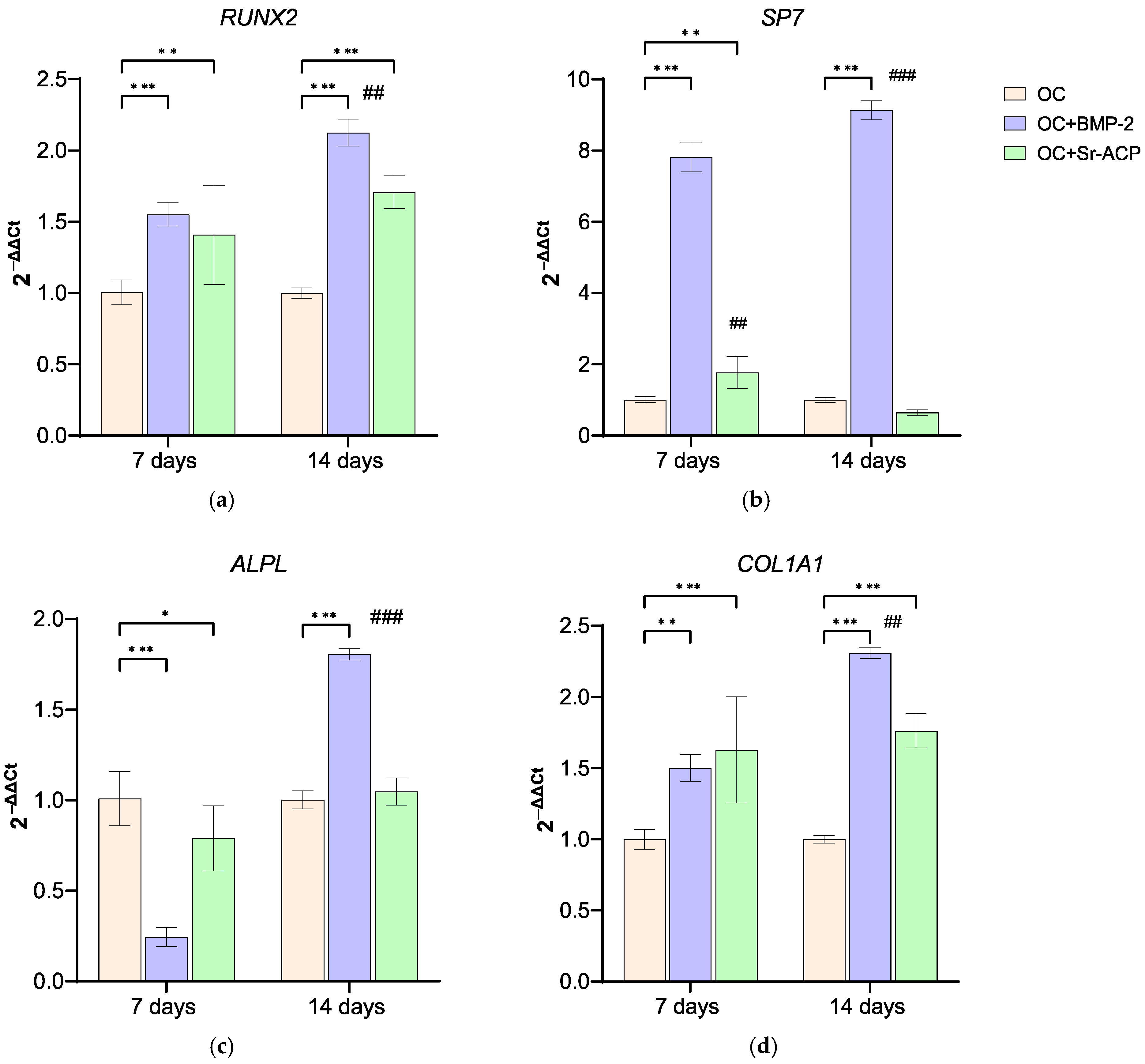 Jfb 16 00302 g003 Jfb 16 00302 g003