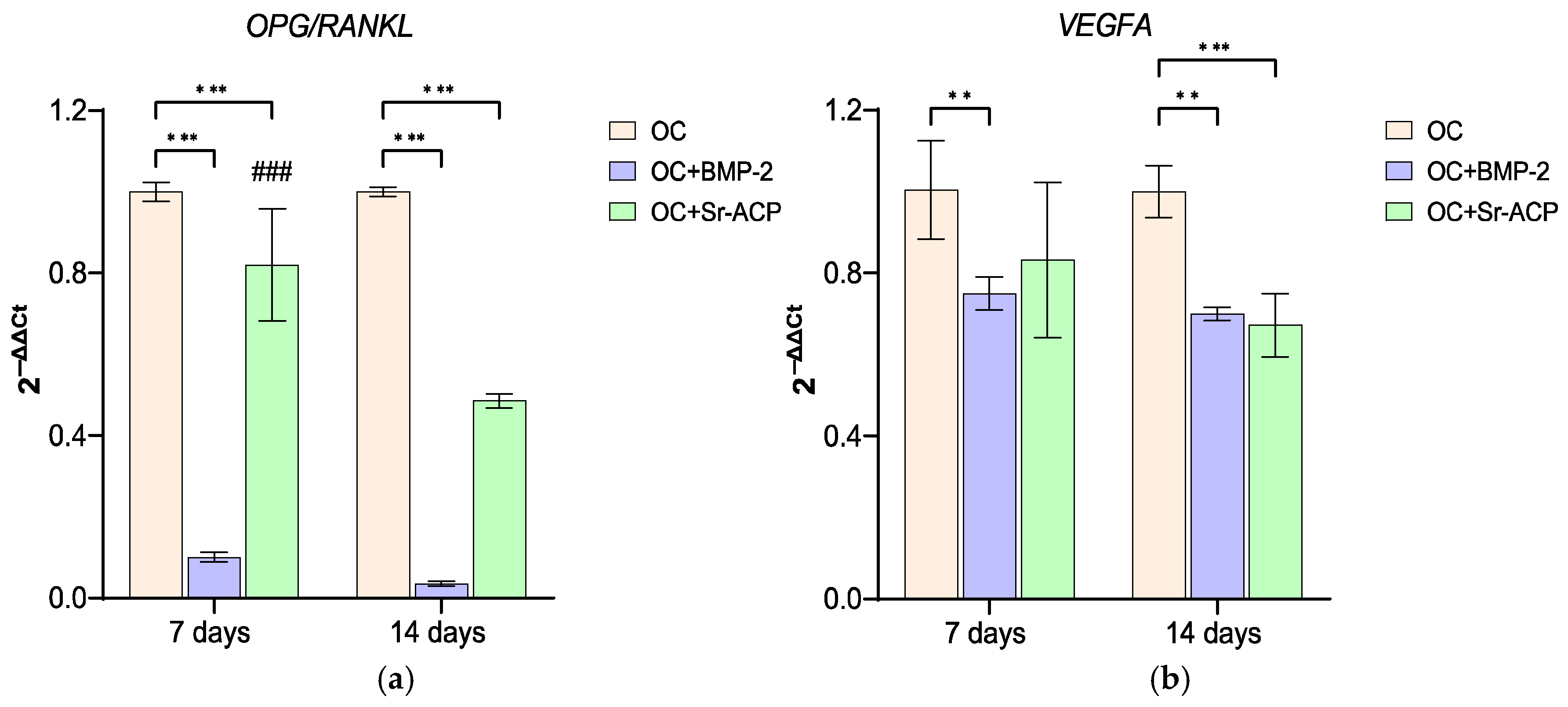Jfb 16 00302 g005 Jfb 16 00302 g005