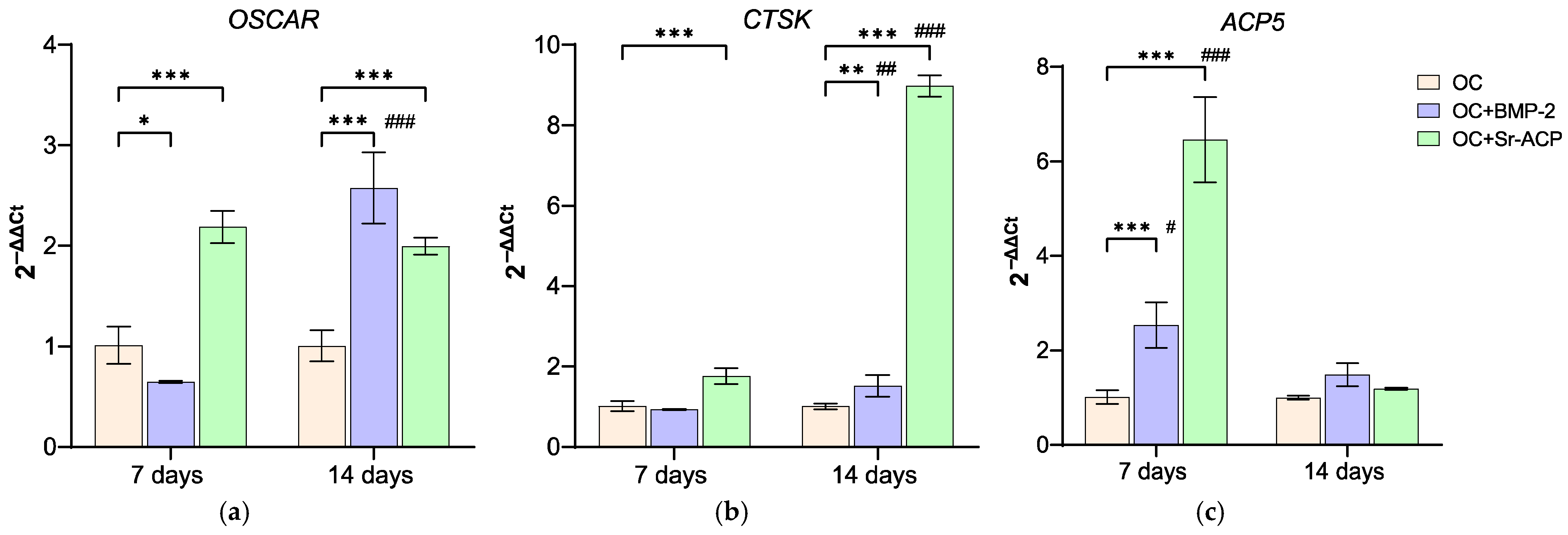 Jfb 16 00302 g006 Jfb 16 00302 g006