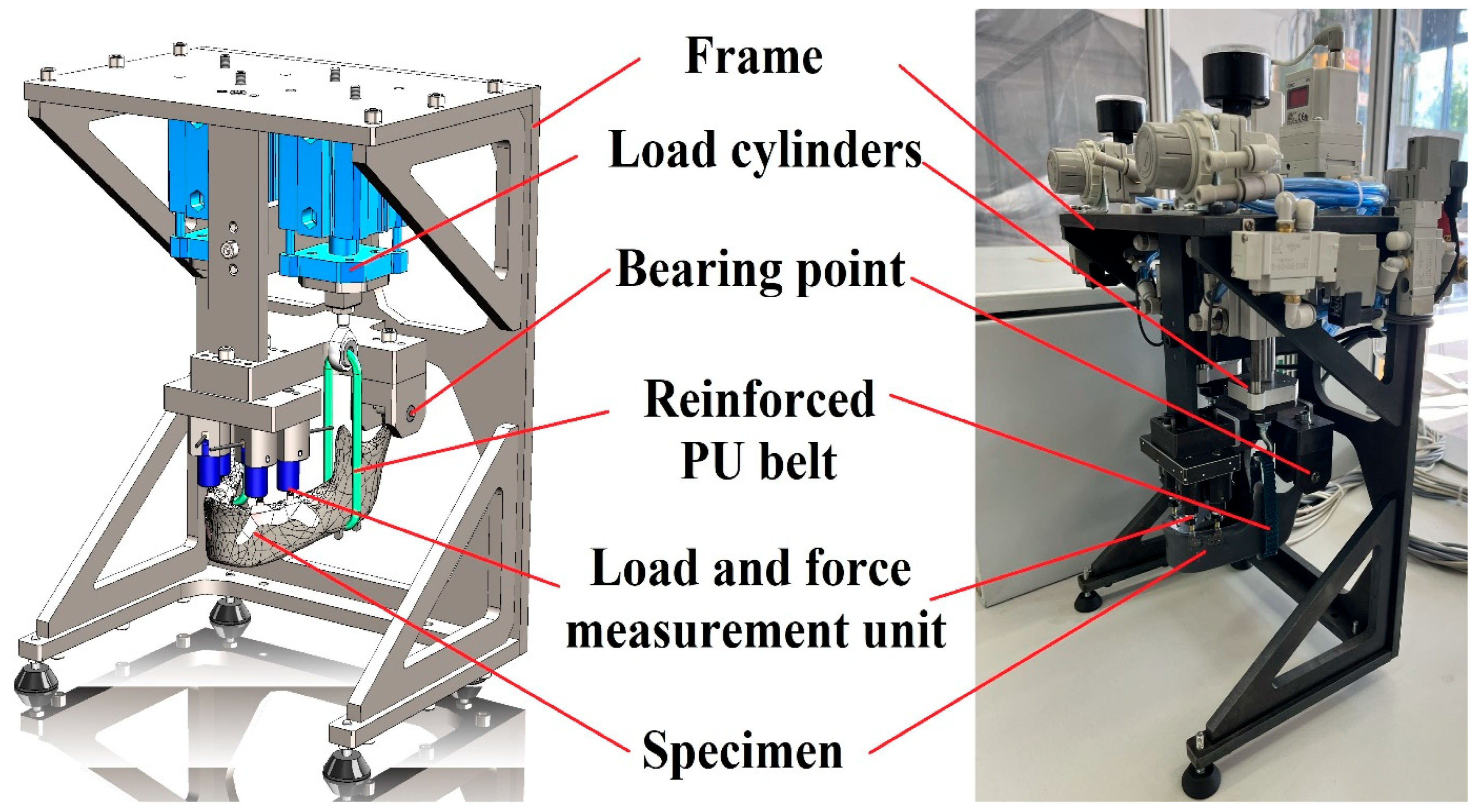 Jfb 16 00306 g004 Jfb 16 00306 g004