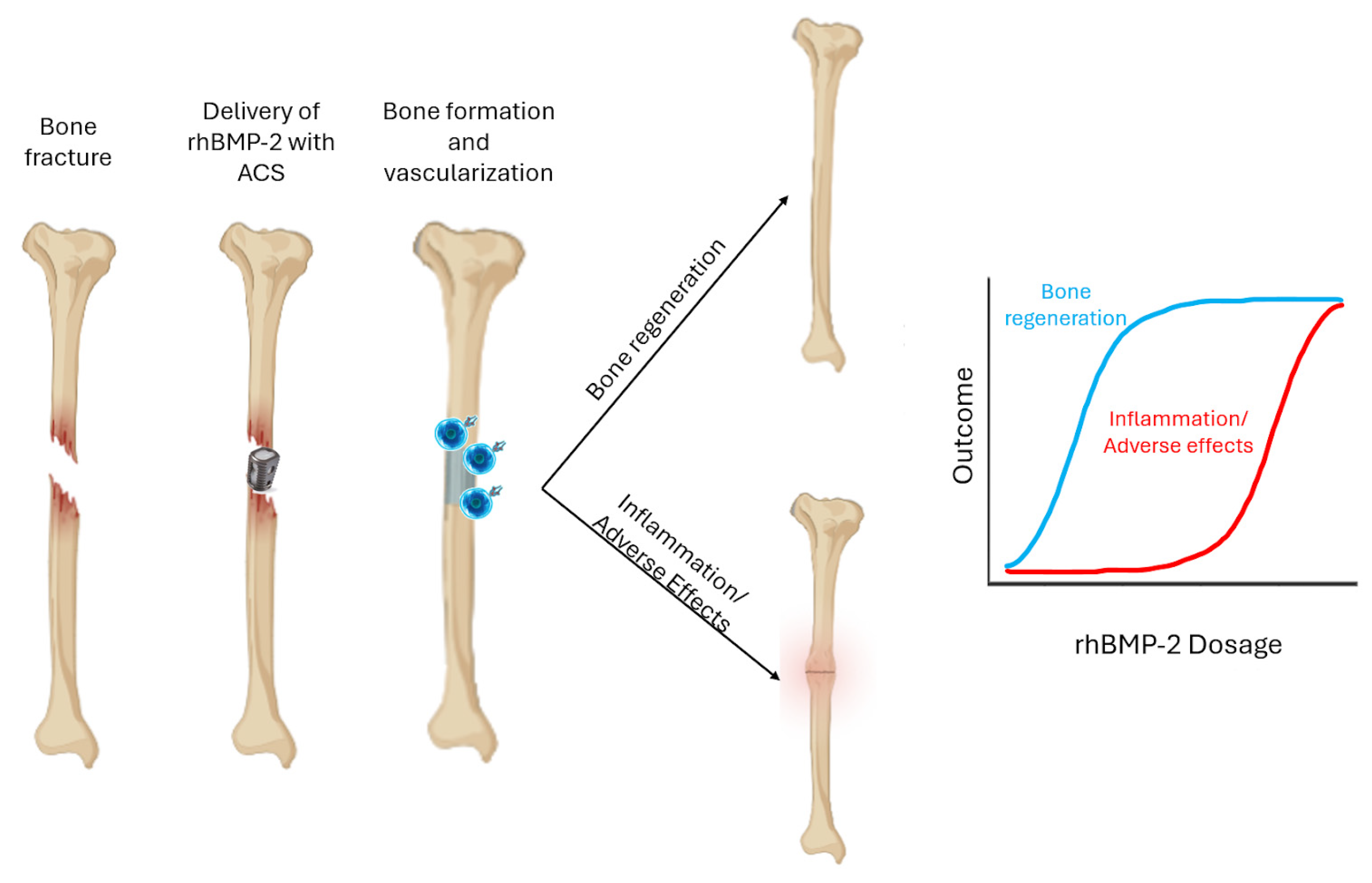 Jfb 16 00313 g002 Jfb 16 00313 g002