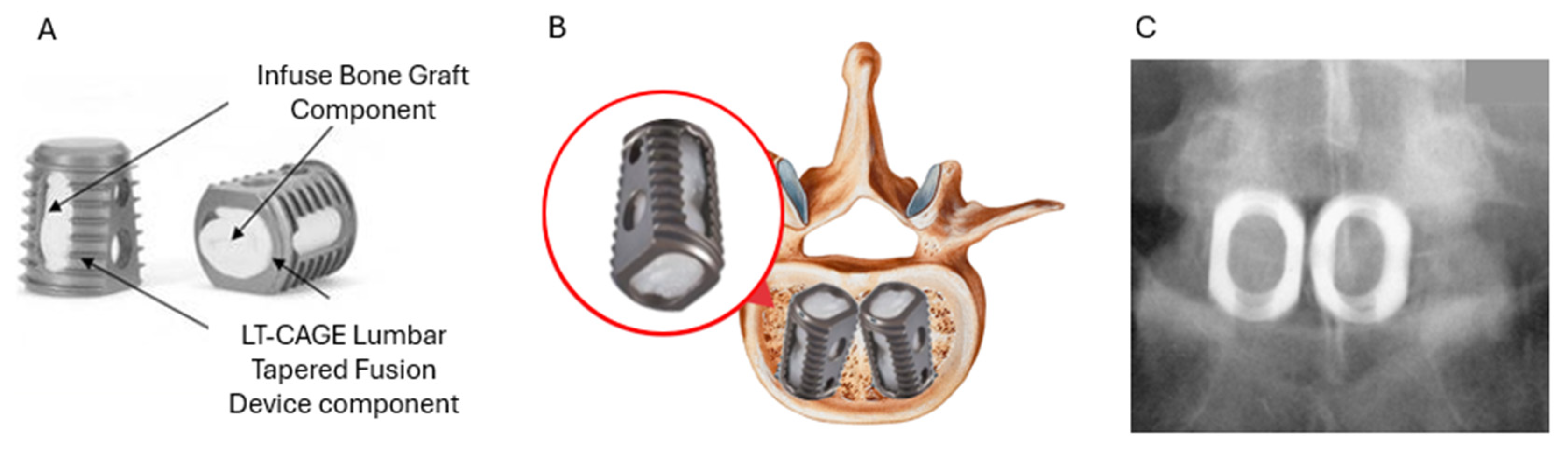 Jfb 16 00313 g004 Jfb 16 00313 g004