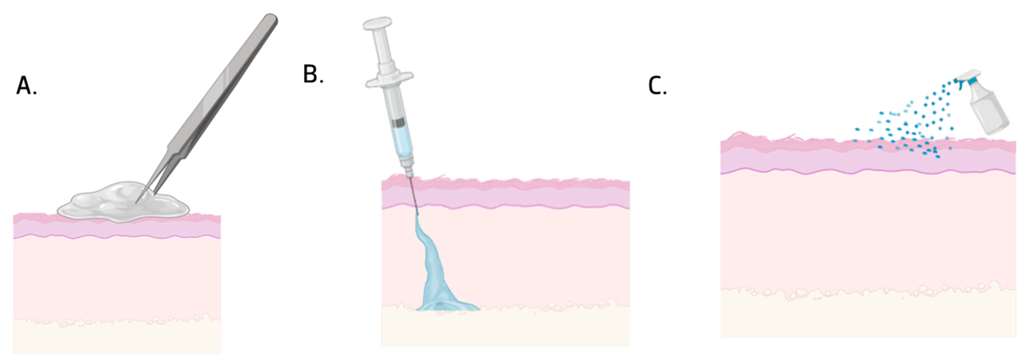 Jfb 16 00317 g003 Jfb 16 00317 g003