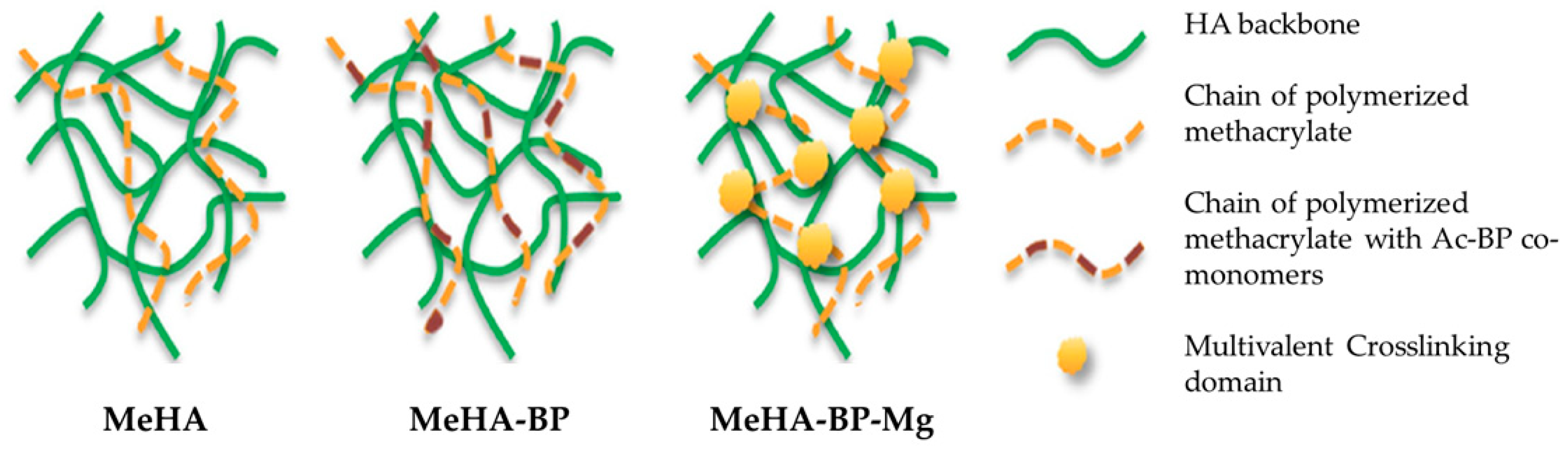 Jfb 16 00317 g006 Jfb 16 00317 g006