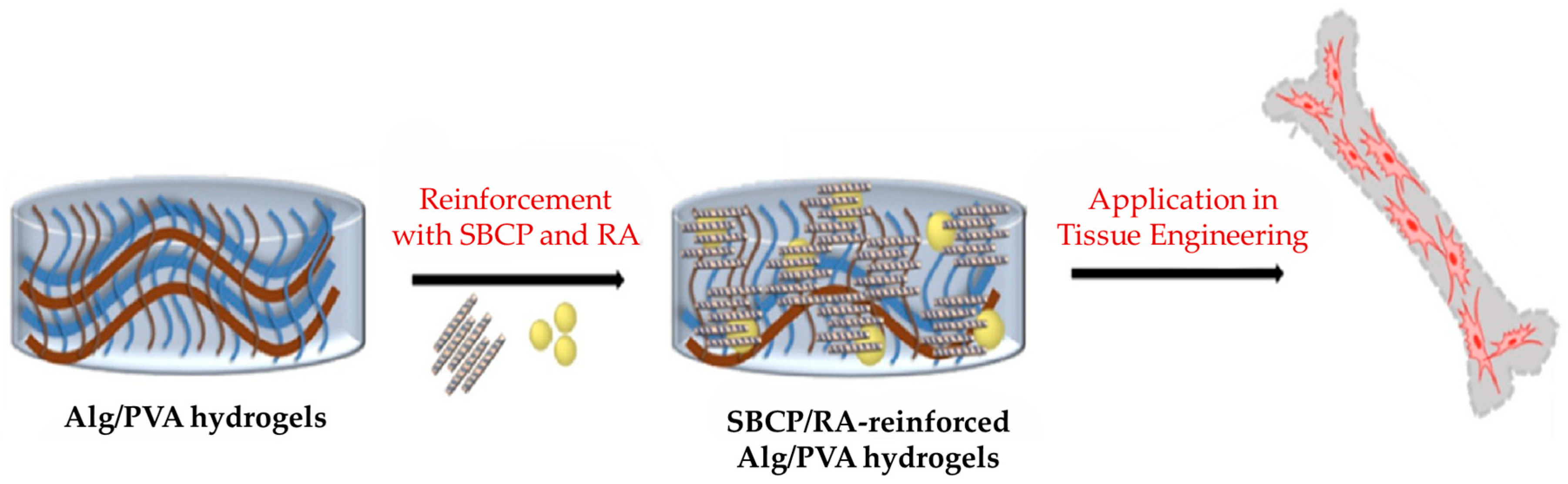 Jfb 16 00317 g007 Jfb 16 00317 g007