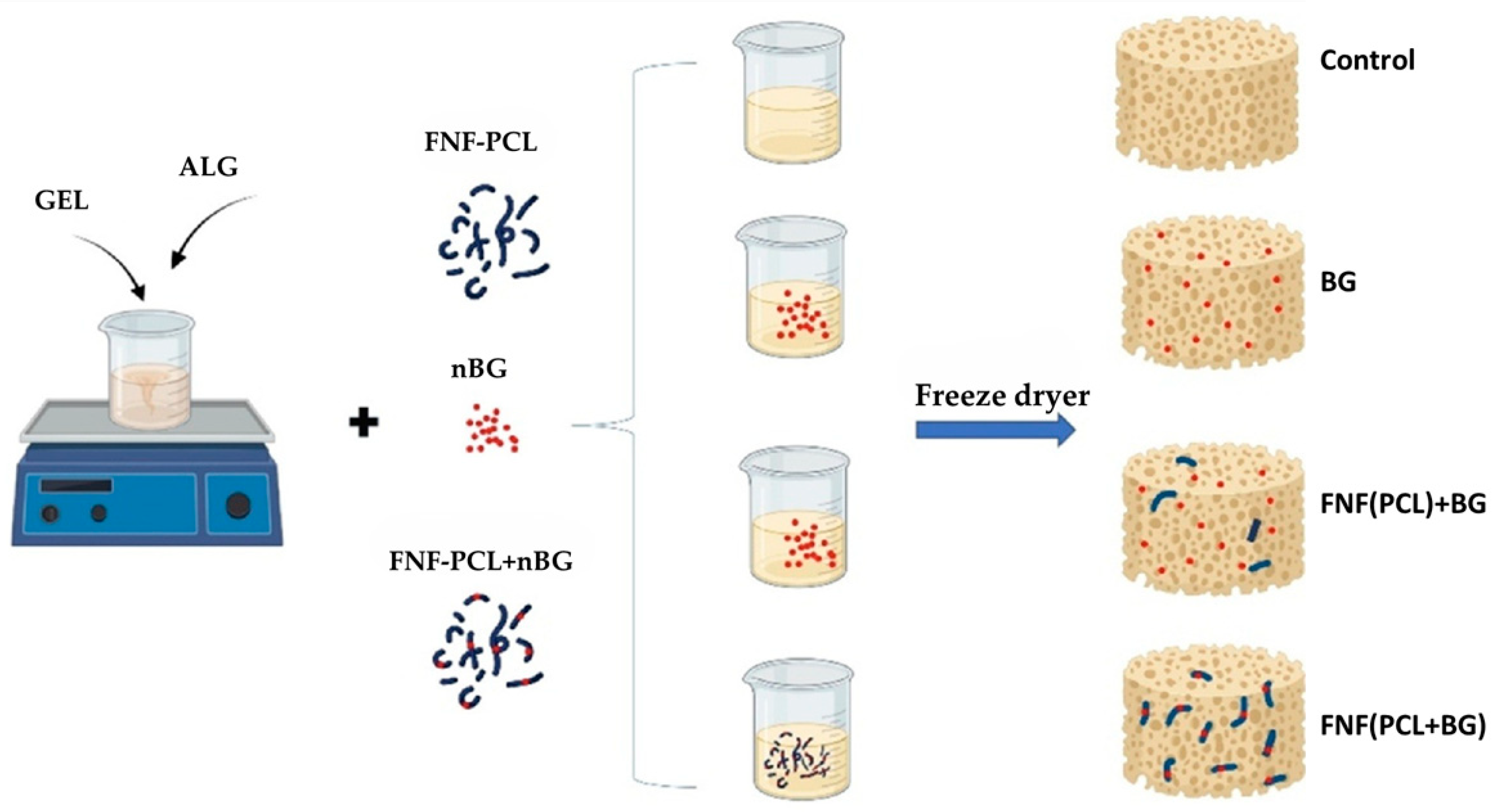 Jfb 16 00317 g009 Jfb 16 00317 g009