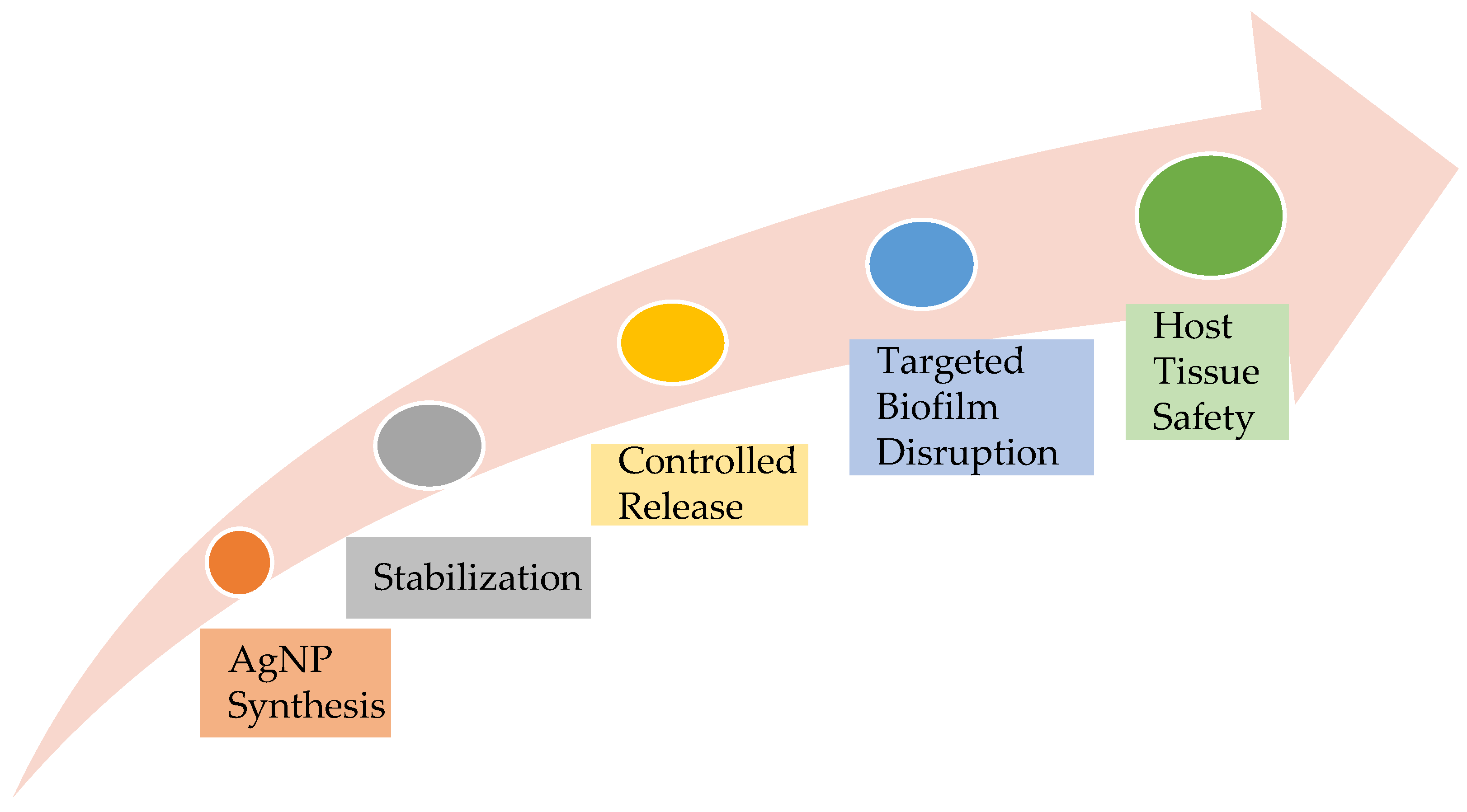 Jfb 16 00318 g002 Jfb 16 00318 g002