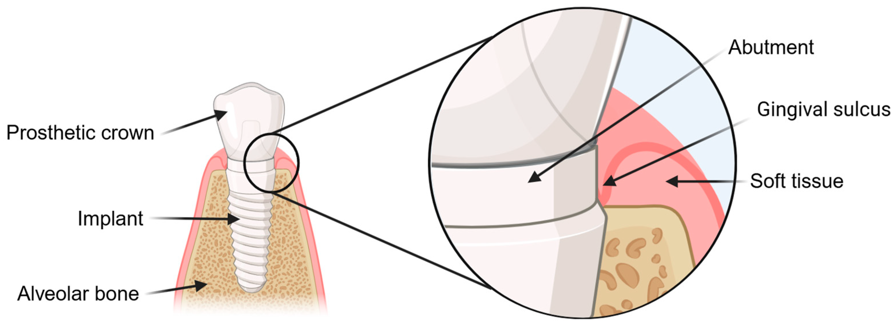 Jfb 16 00324 g001 Jfb 16 00324 g001