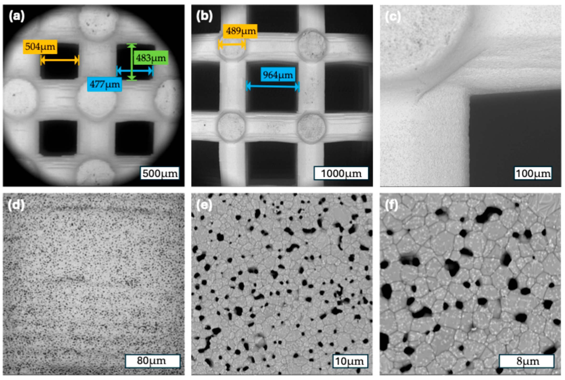 Jfb 16 00327 g003 Jfb 16 00327 g003