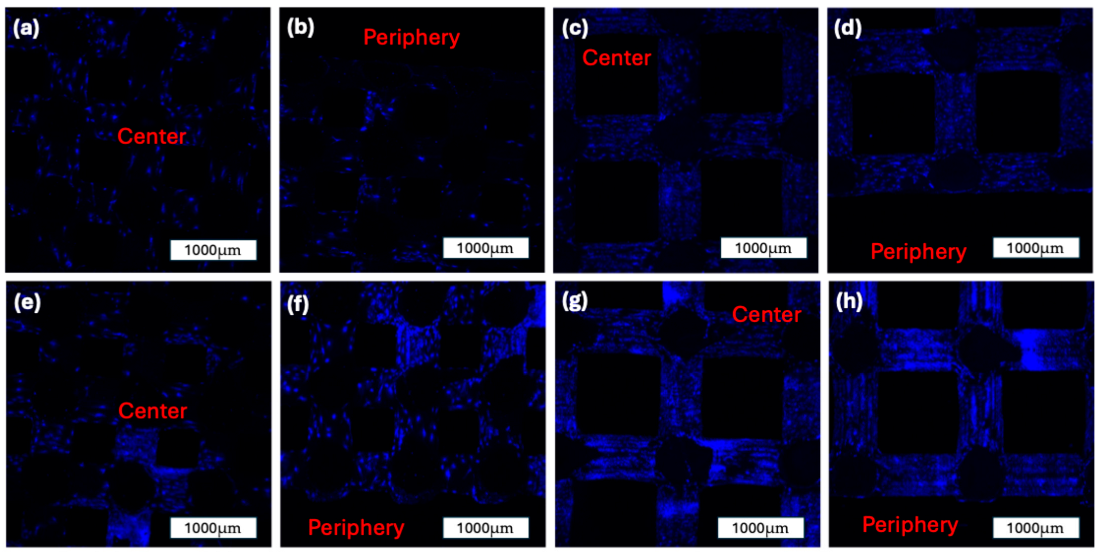 Jfb 16 00327 g009 Jfb 16 00327 g009