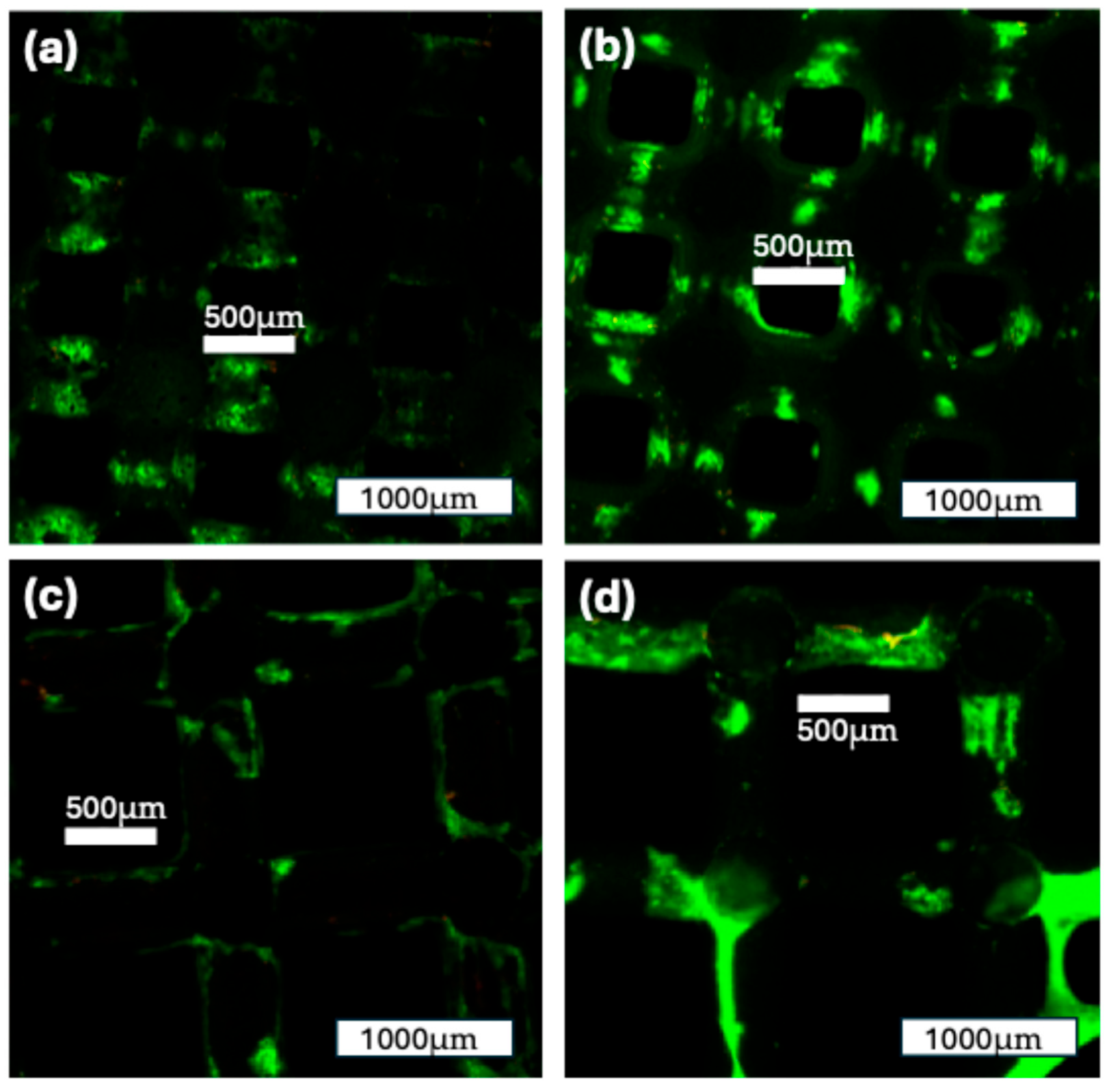 Jfb 16 00327 g011 Jfb 16 00327 g011