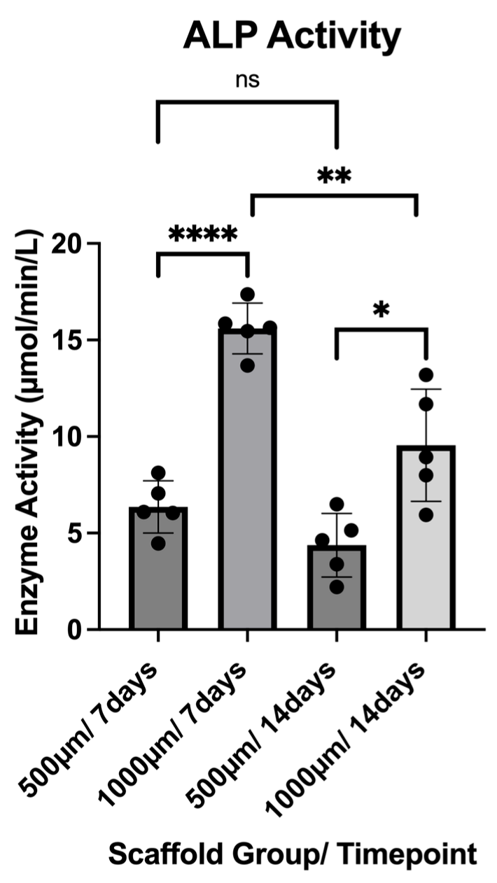 Jfb 16 00327 g012 Jfb 16 00327 g012