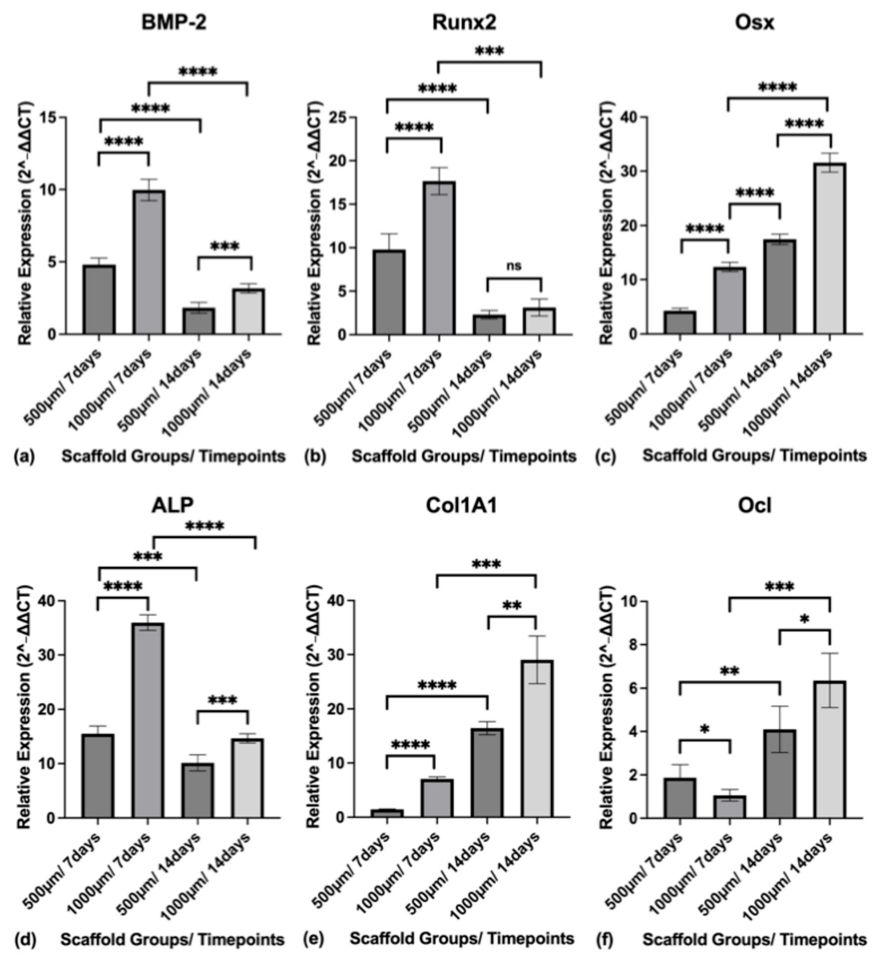 Jfb 16 00327 g013 Jfb 16 00327 g013