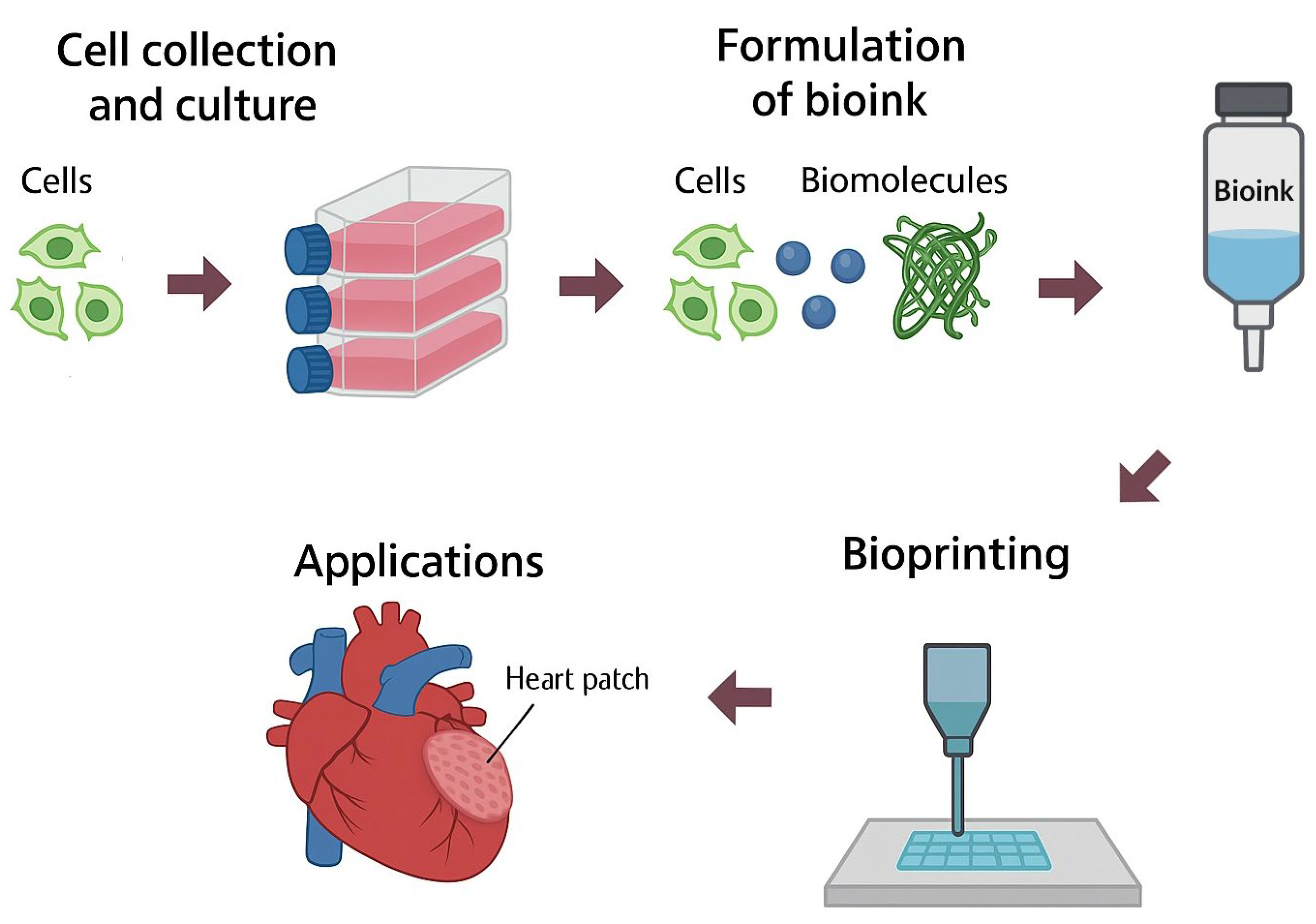 Jfb 16 00328 g001 Jfb 16 00328 g001