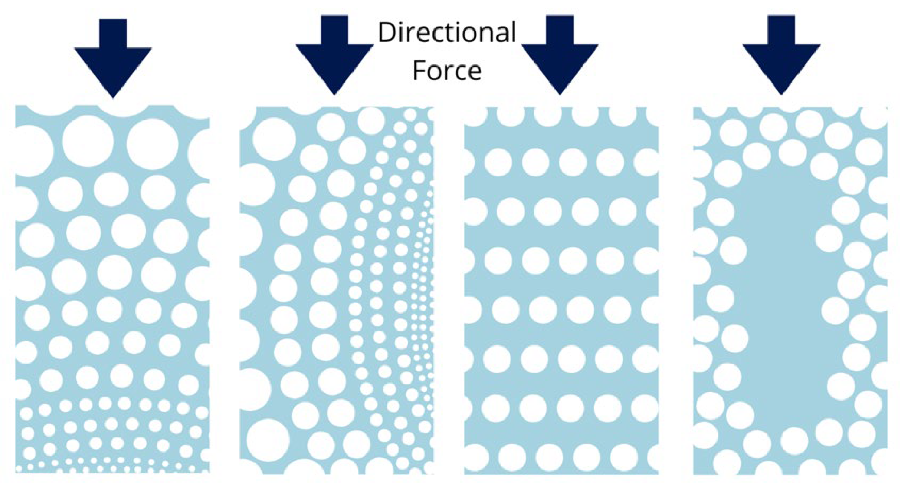 Jfb 16 00328 g005 Jfb 16 00328 g005