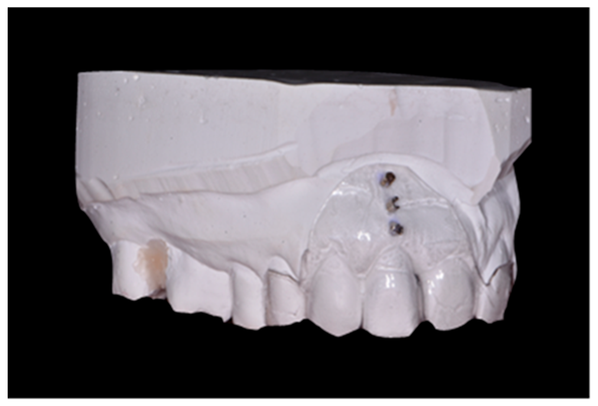 Jfb 16 00345 g002 Jfb 16 00345 g002