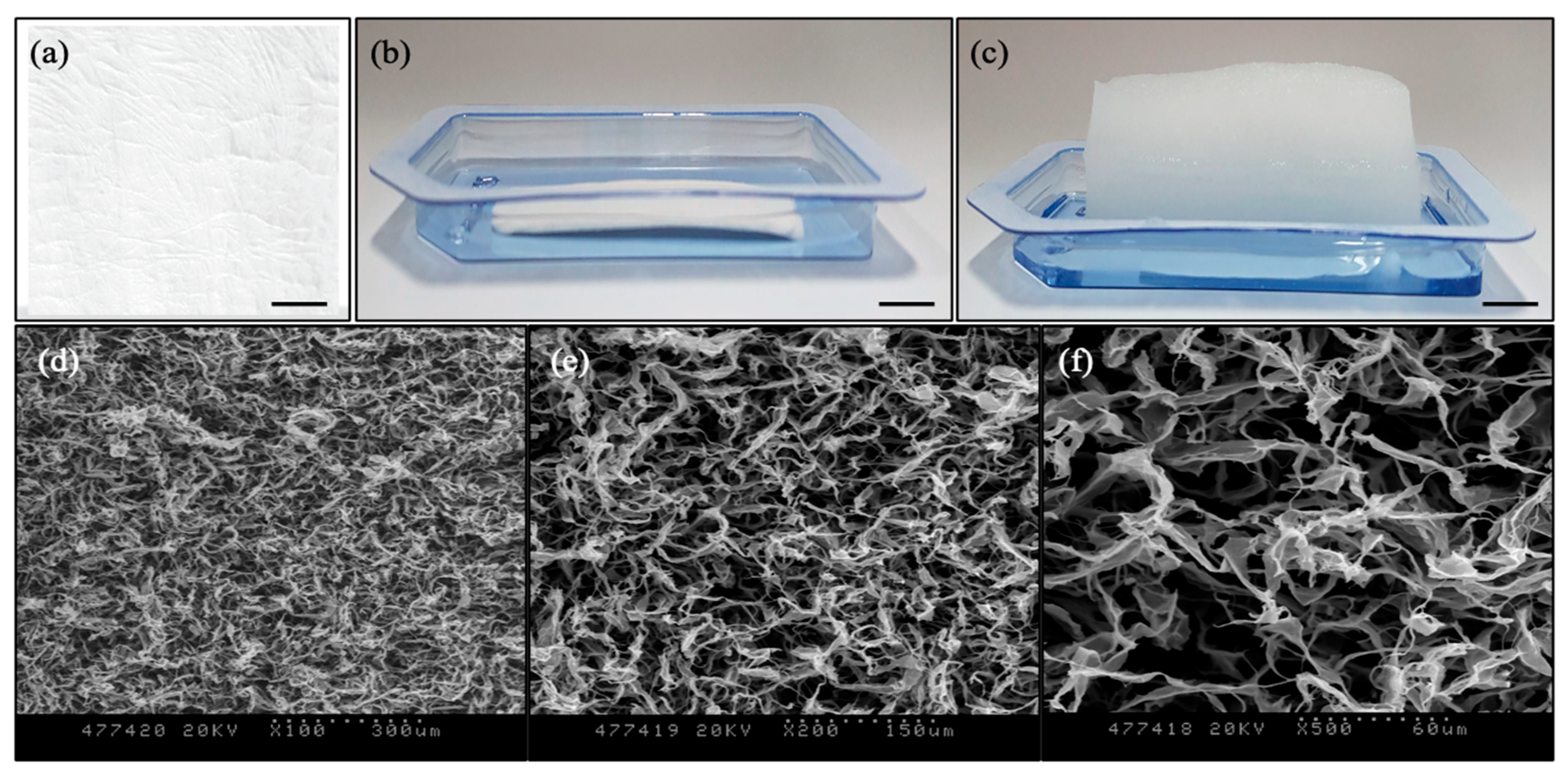 Jfb 16 00347 g001 Jfb 16 00347 g001