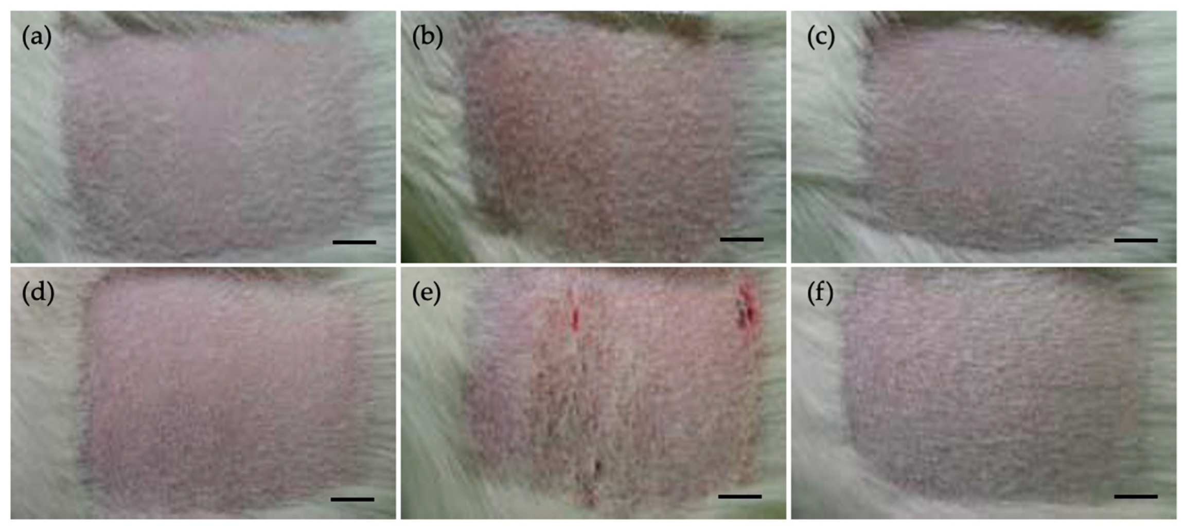 Jfb 16 00347 g005 Jfb 16 00347 g005