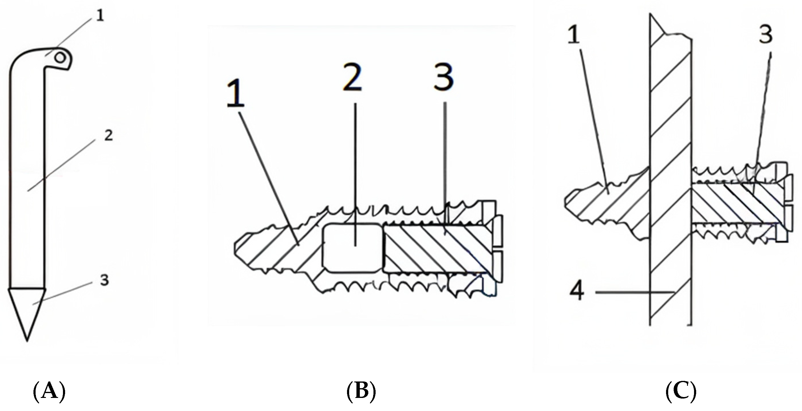 Jfb 16 00348 g001 Jfb 16 00348 g001