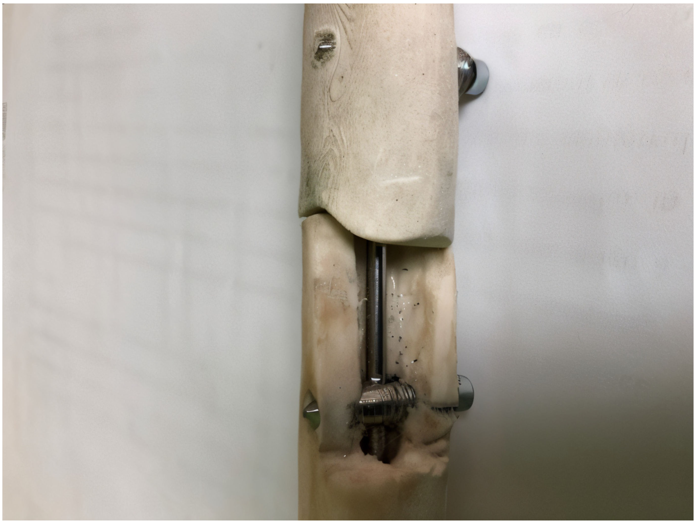 Jfb 16 00348 g004 Jfb 16 00348 g004