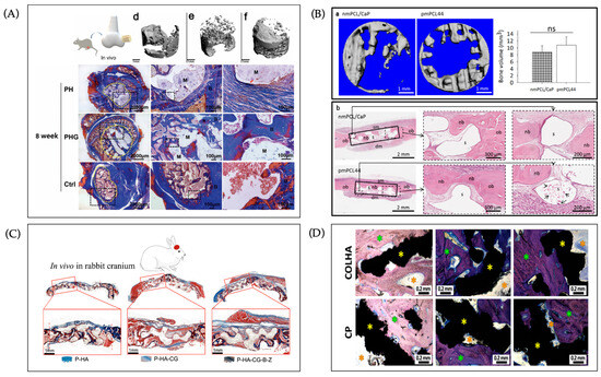 Integrating Additive and Traditional Manufacturing for Multiscale Bone ...