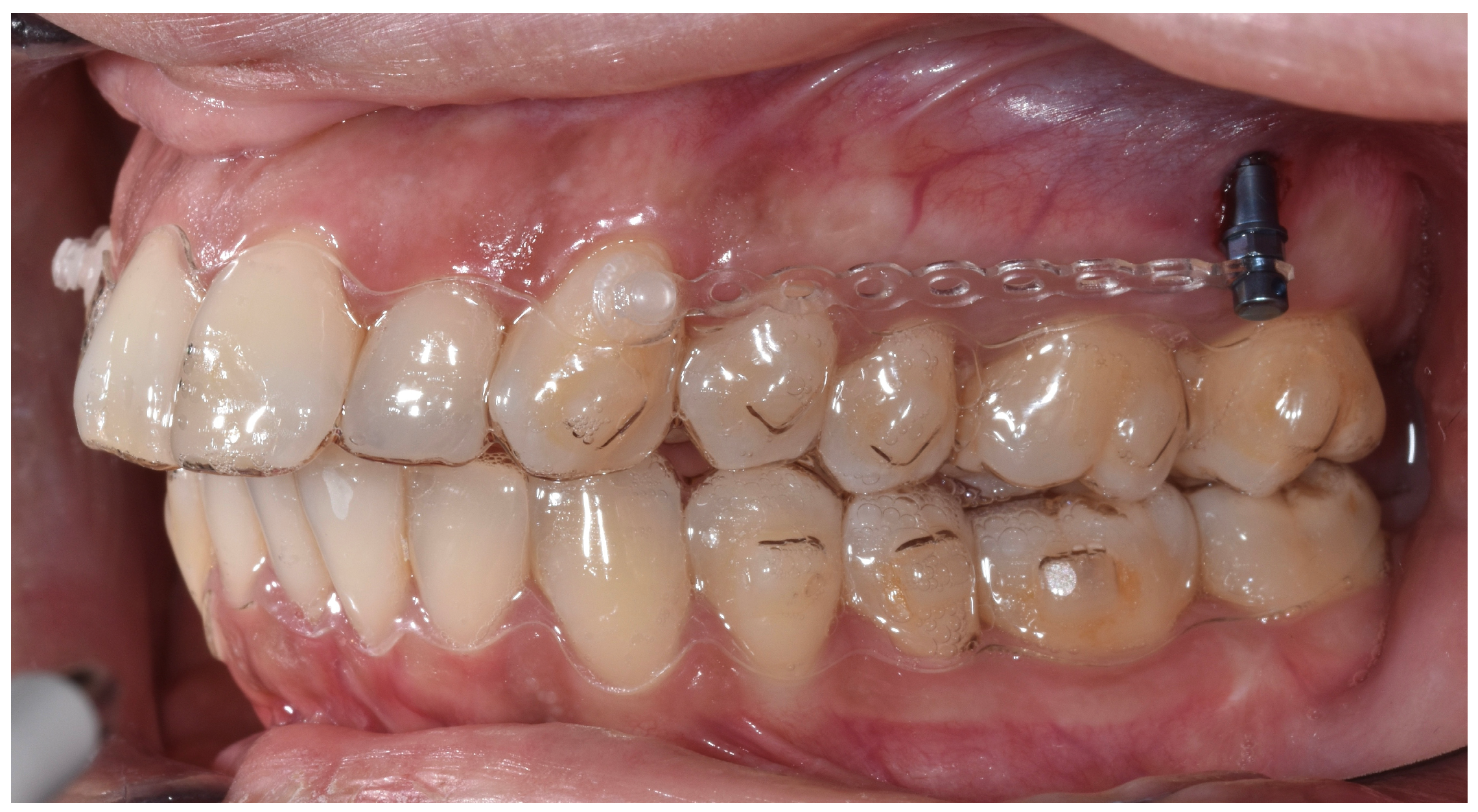 Jfb 16 00354 g002 Jfb 16 00354 g002