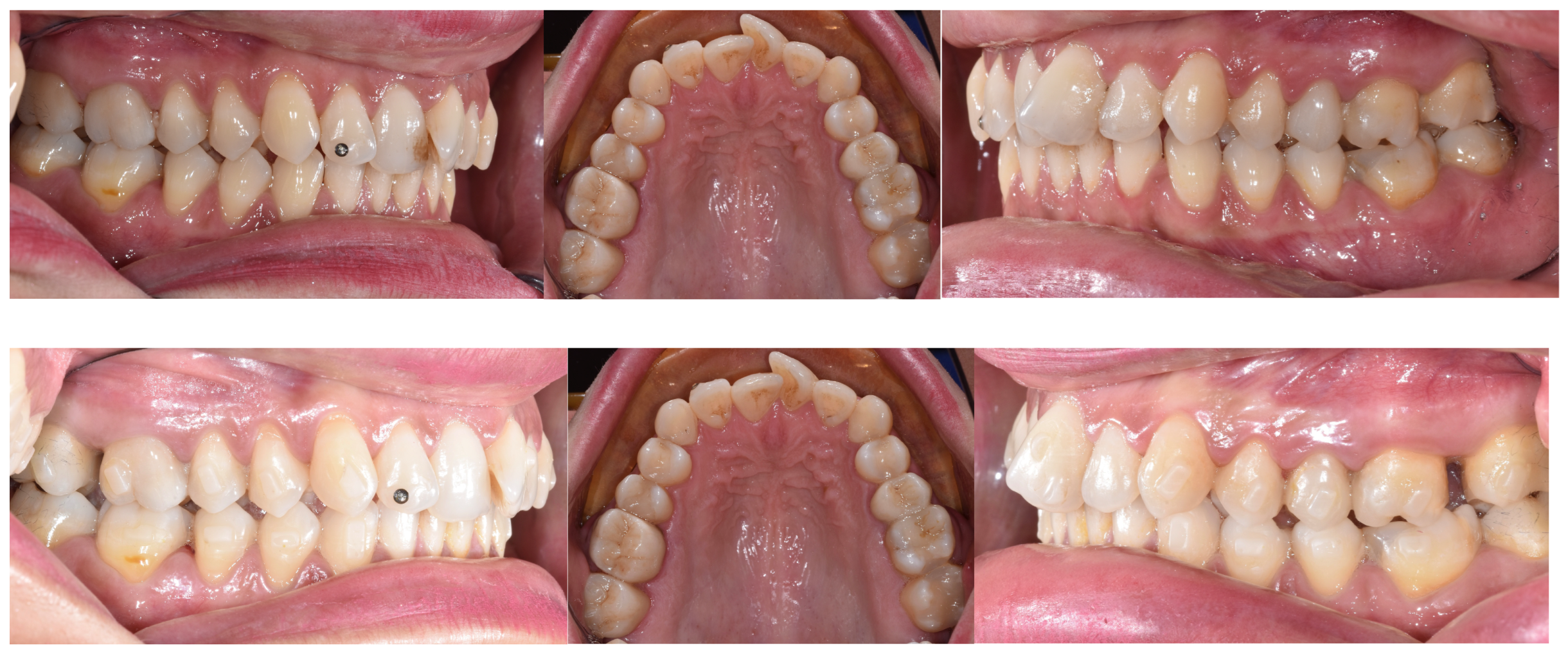 Jfb 16 00354 g003 Jfb 16 00354 g003