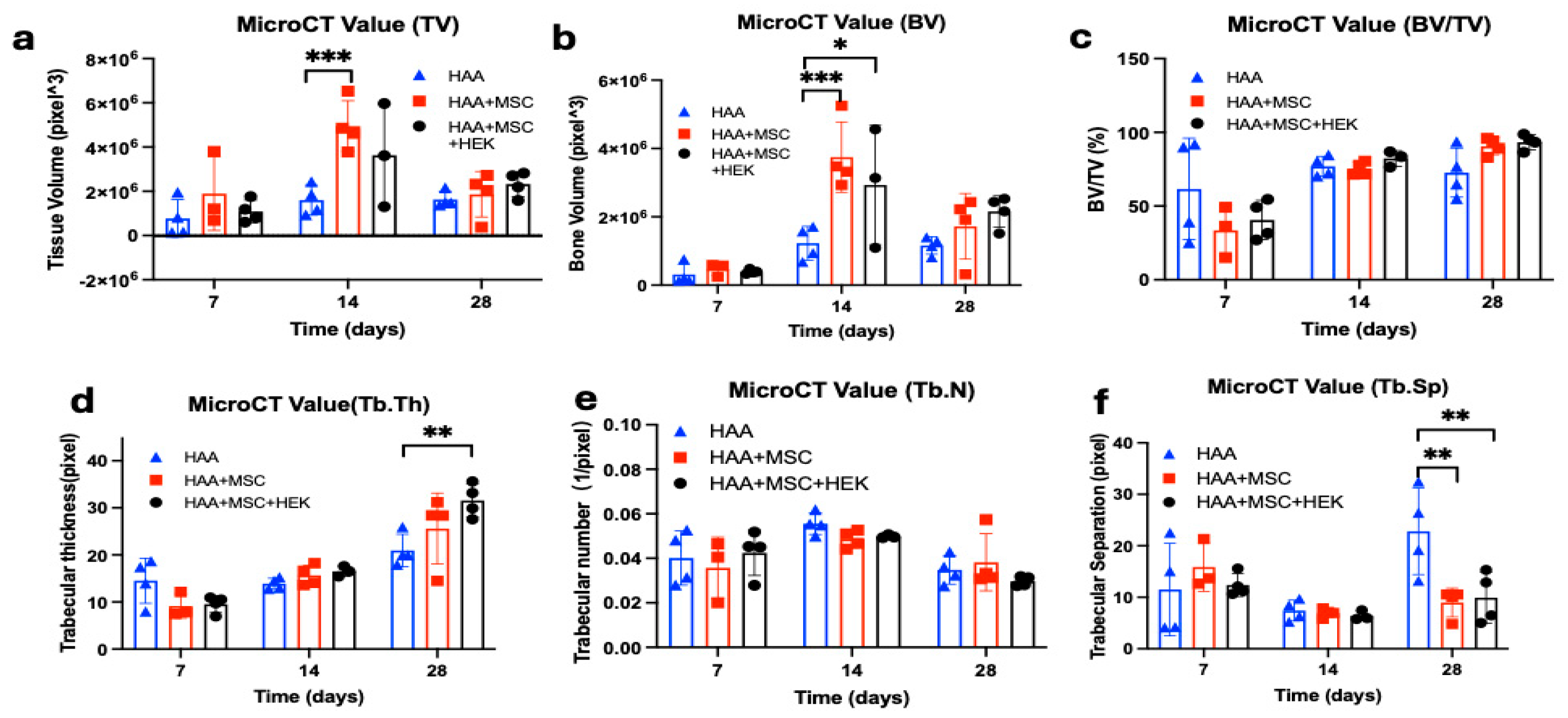 Jfb 16 00361 g008 Jfb 16 00361 g008