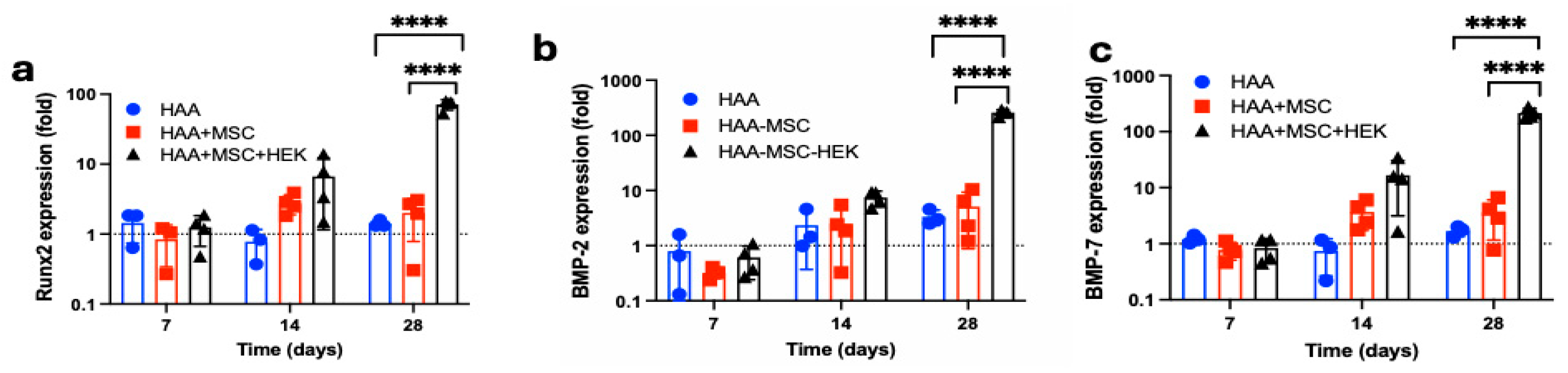 Jfb 16 00361 g010 Jfb 16 00361 g010