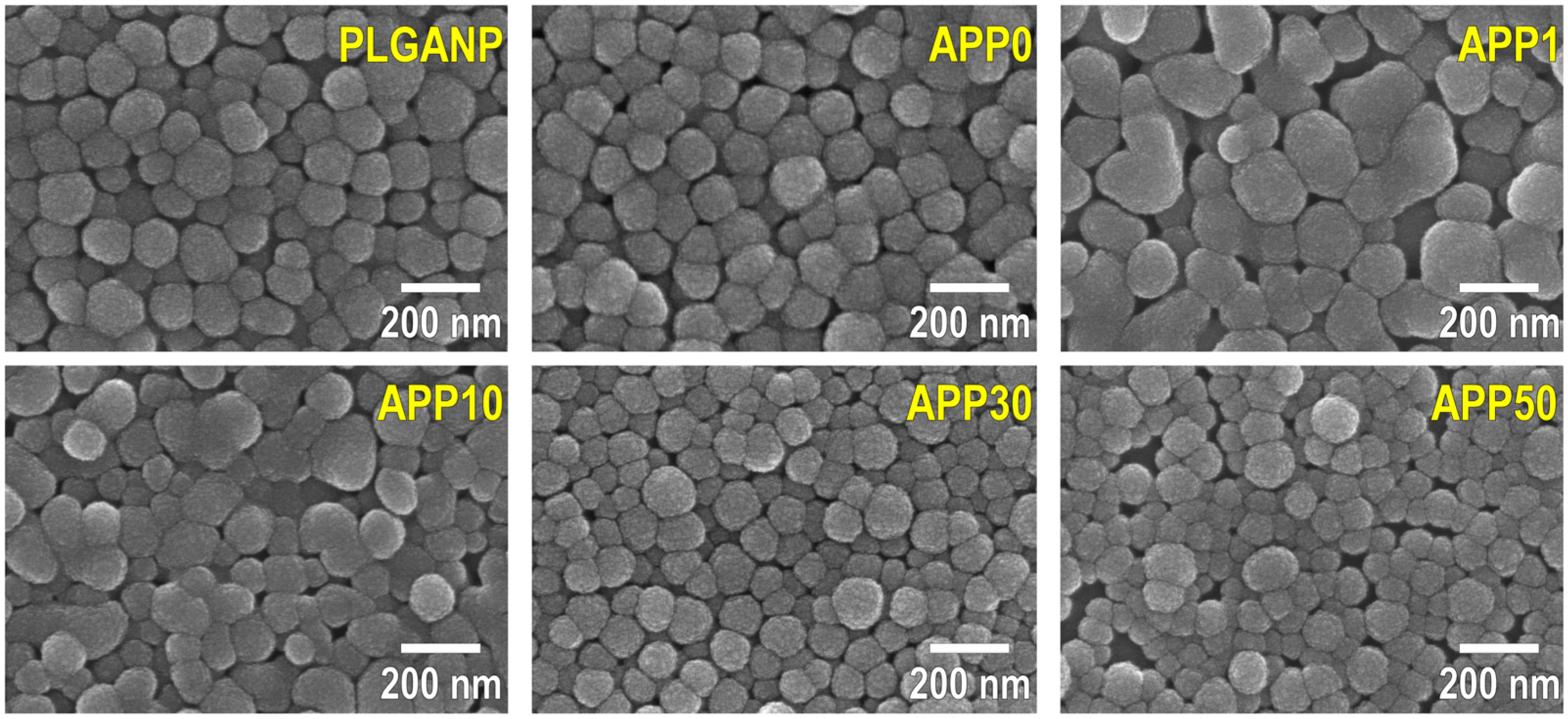 Jfb 16 00368 g001 Jfb 16 00368 g001