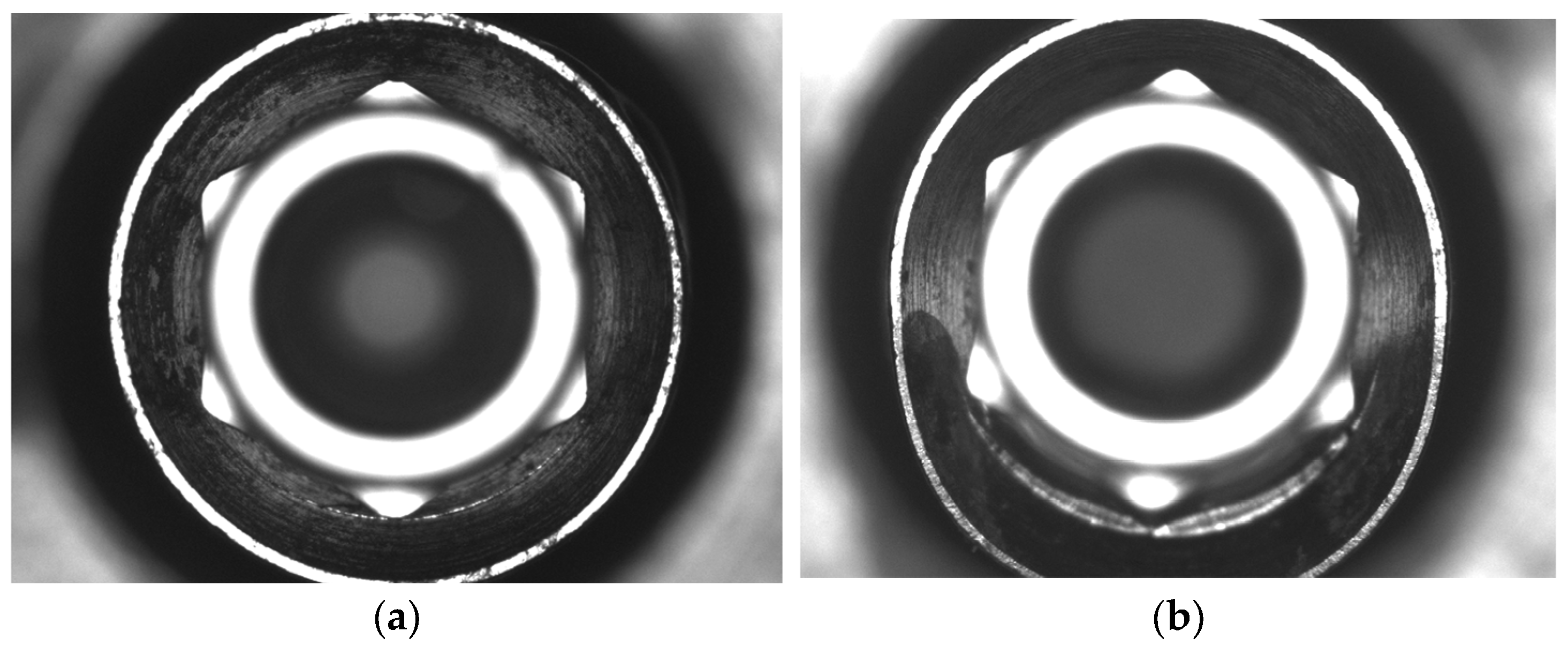 Jfb 16 00375 g005 Jfb 16 00375 g005