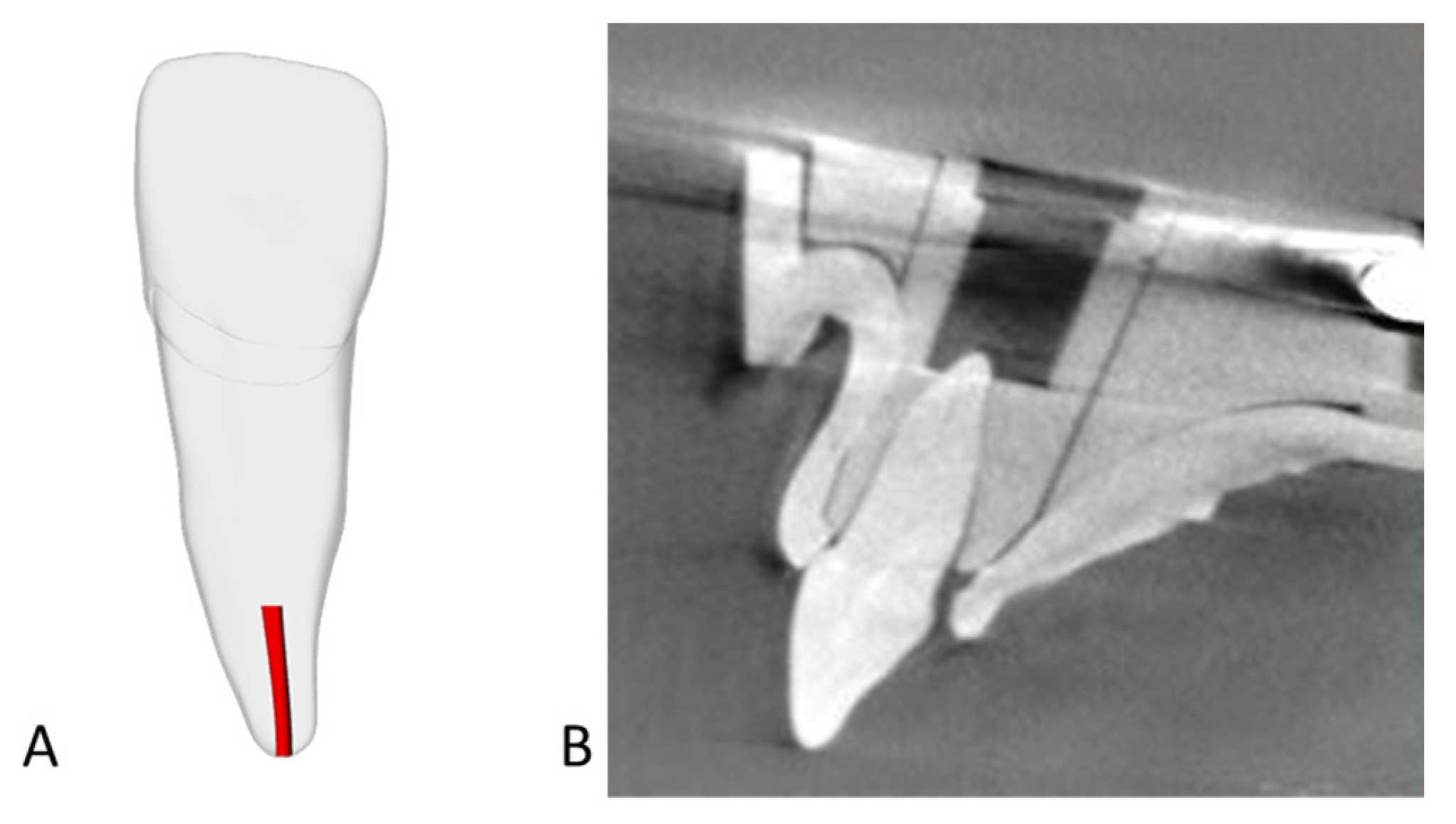 Jfb 16 00376 g001 Jfb 16 00376 g001