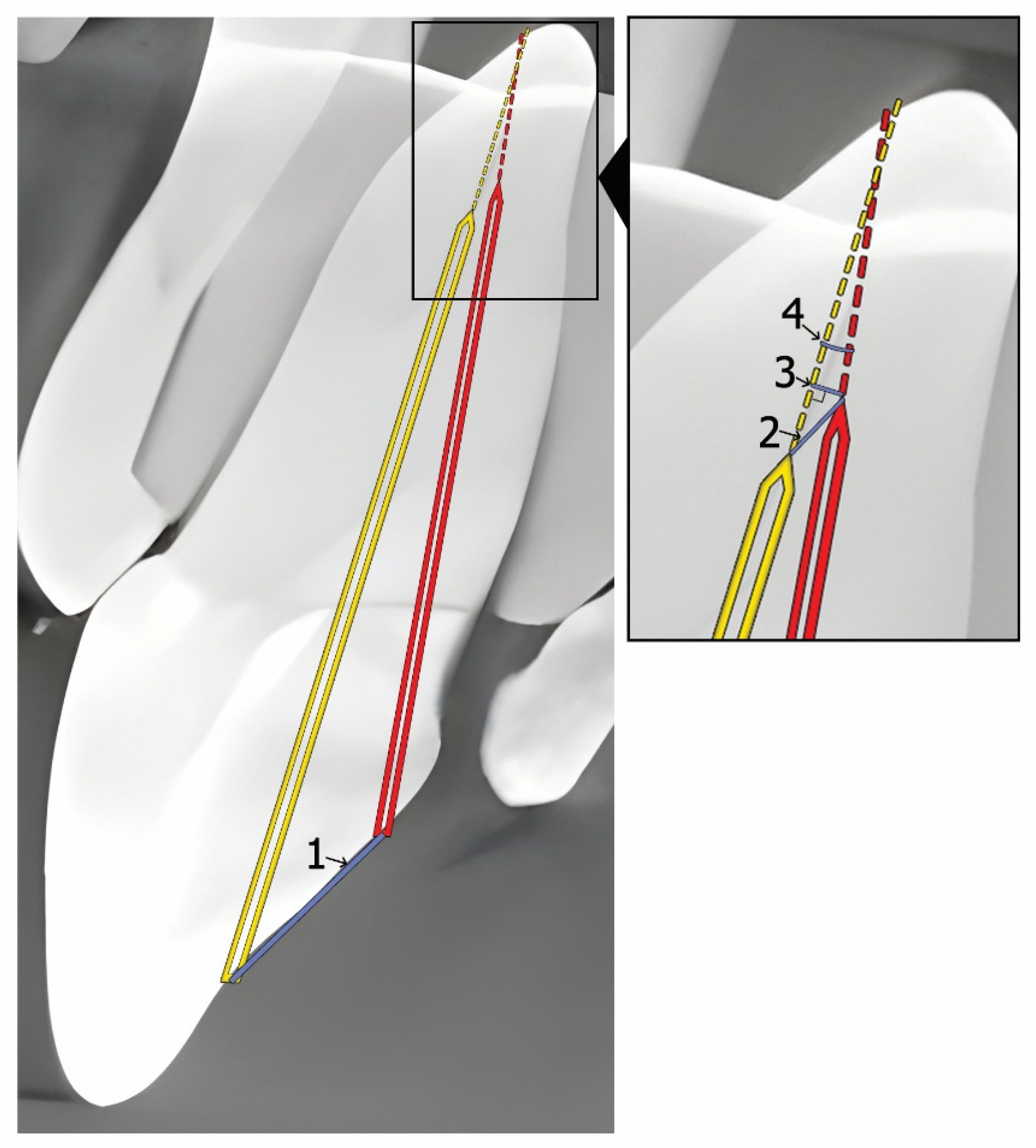 Jfb 16 00376 g003 Jfb 16 00376 g003