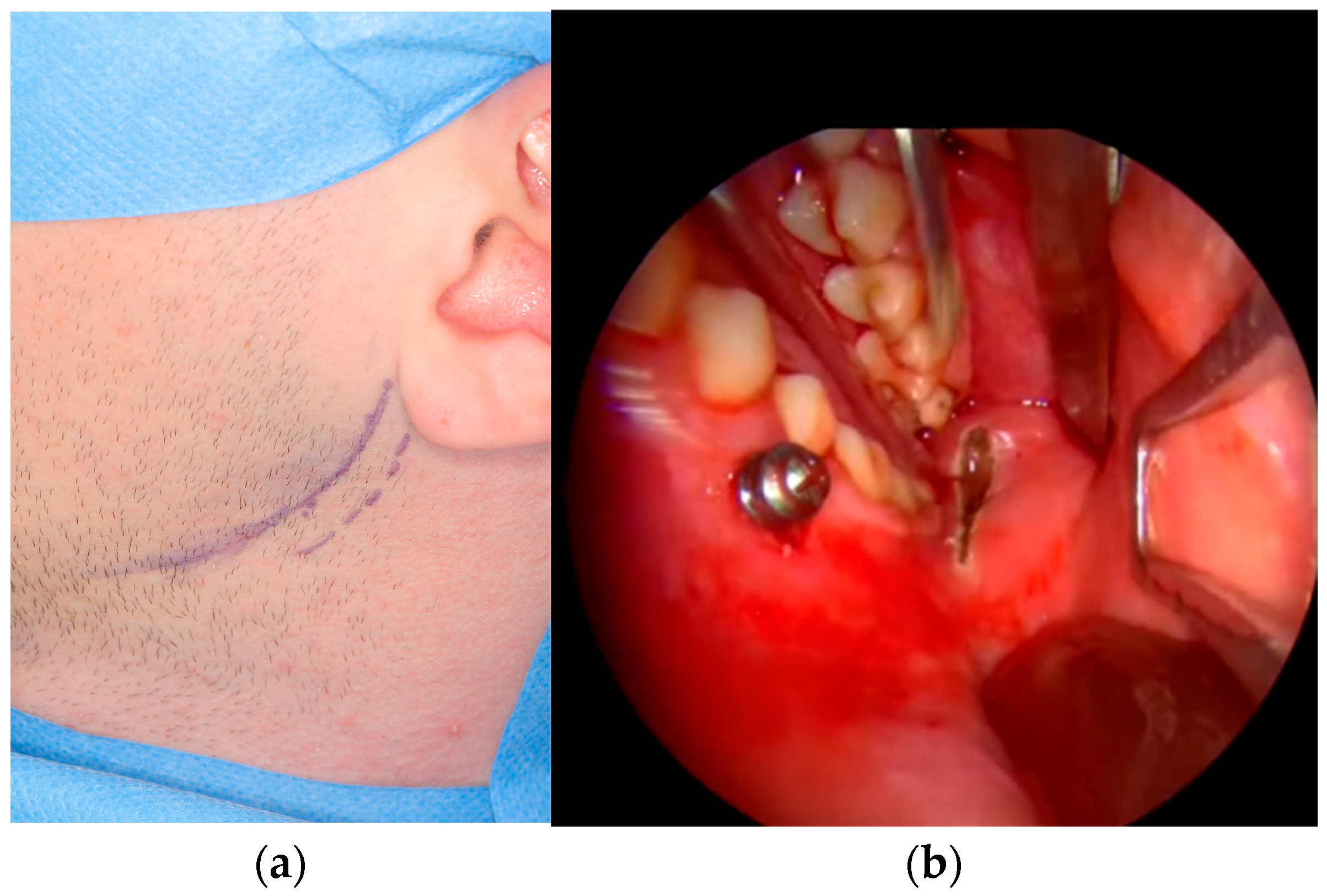 Jfb 16 00382 g001 Jfb 16 00382 g001