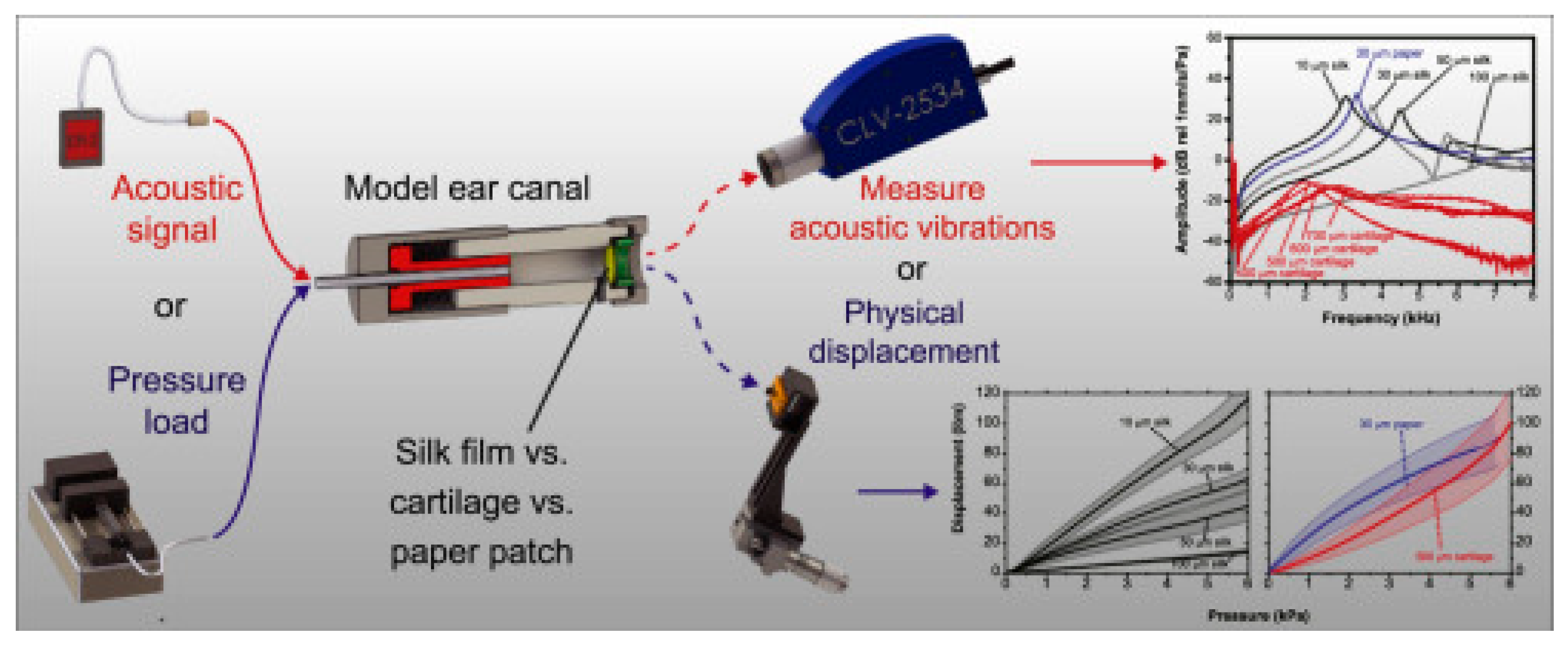 Jfb 16 00384 g001 Jfb 16 00384 g001