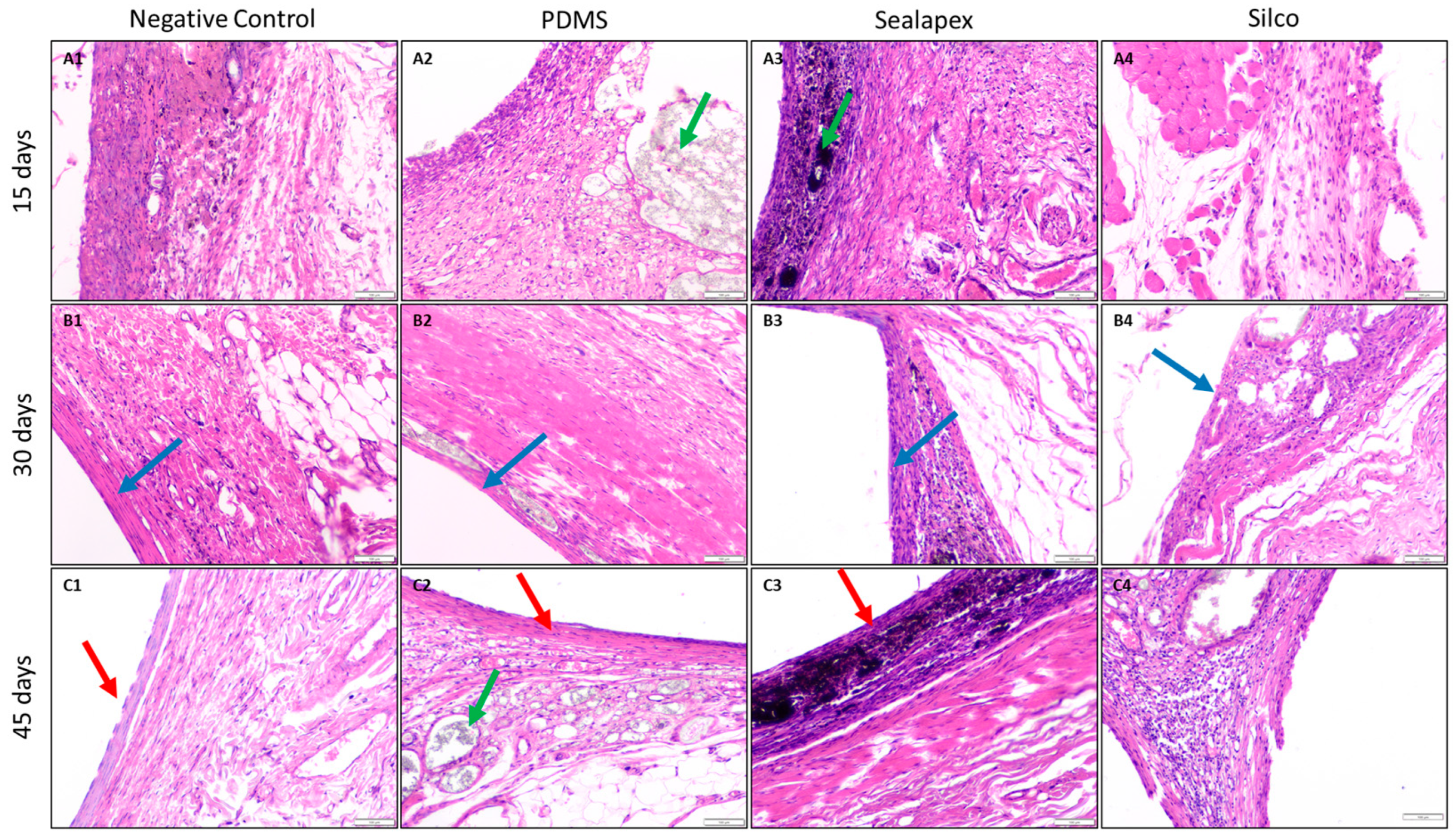Jfb 16 00402 g004 Jfb 16 00402 g004
