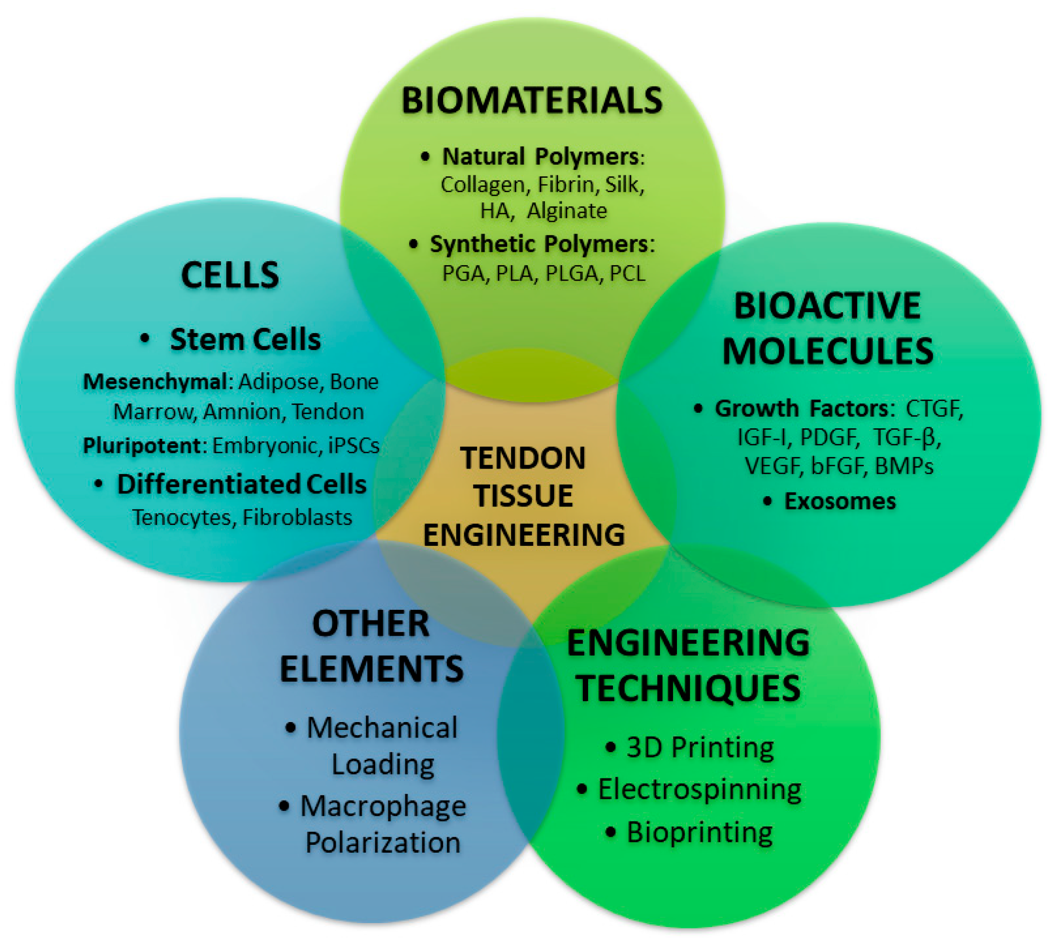 Jfb 16 00403 g001 Jfb 16 00403 g001