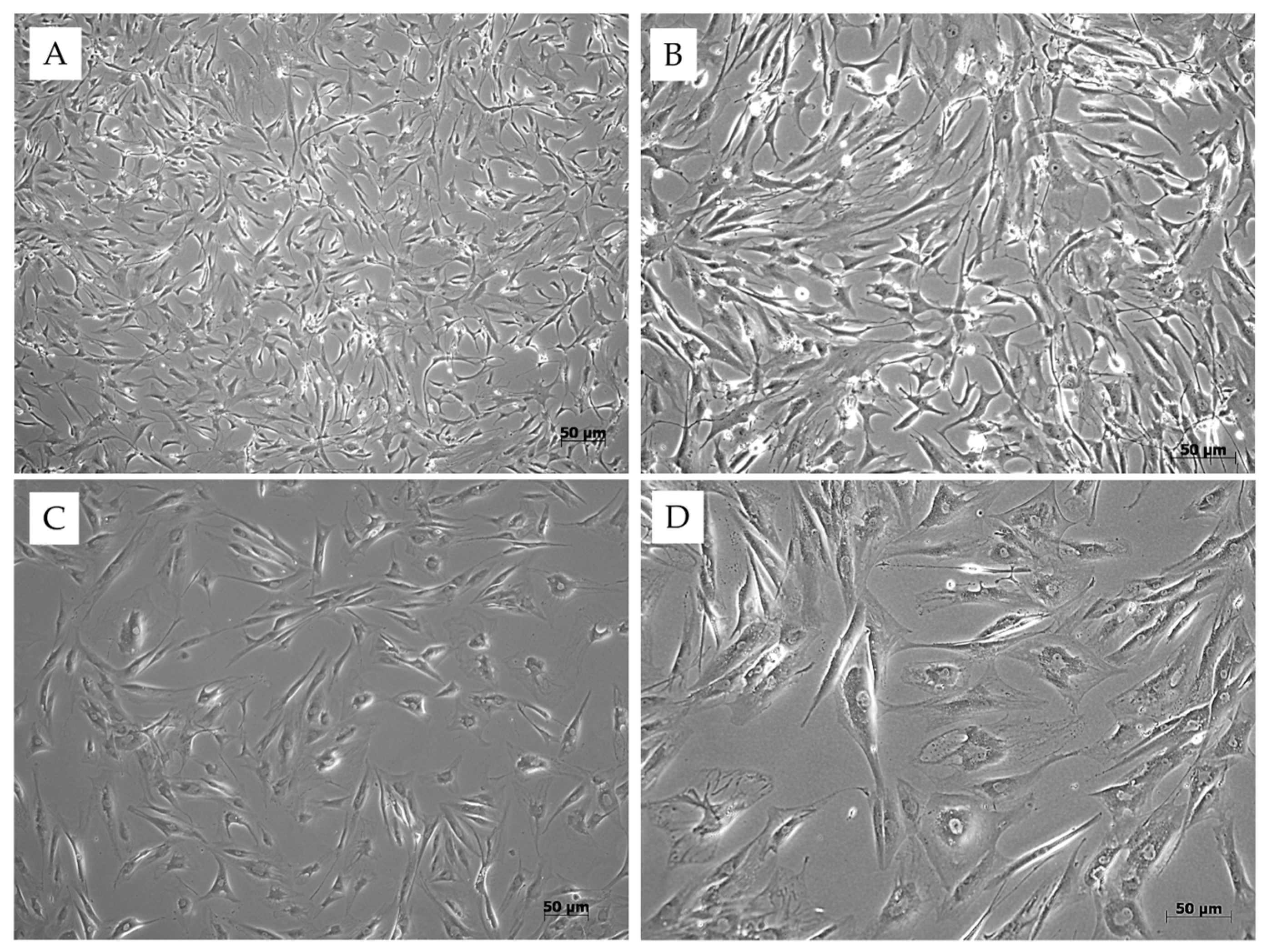 Jfb 16 00403 g003 Jfb 16 00403 g003