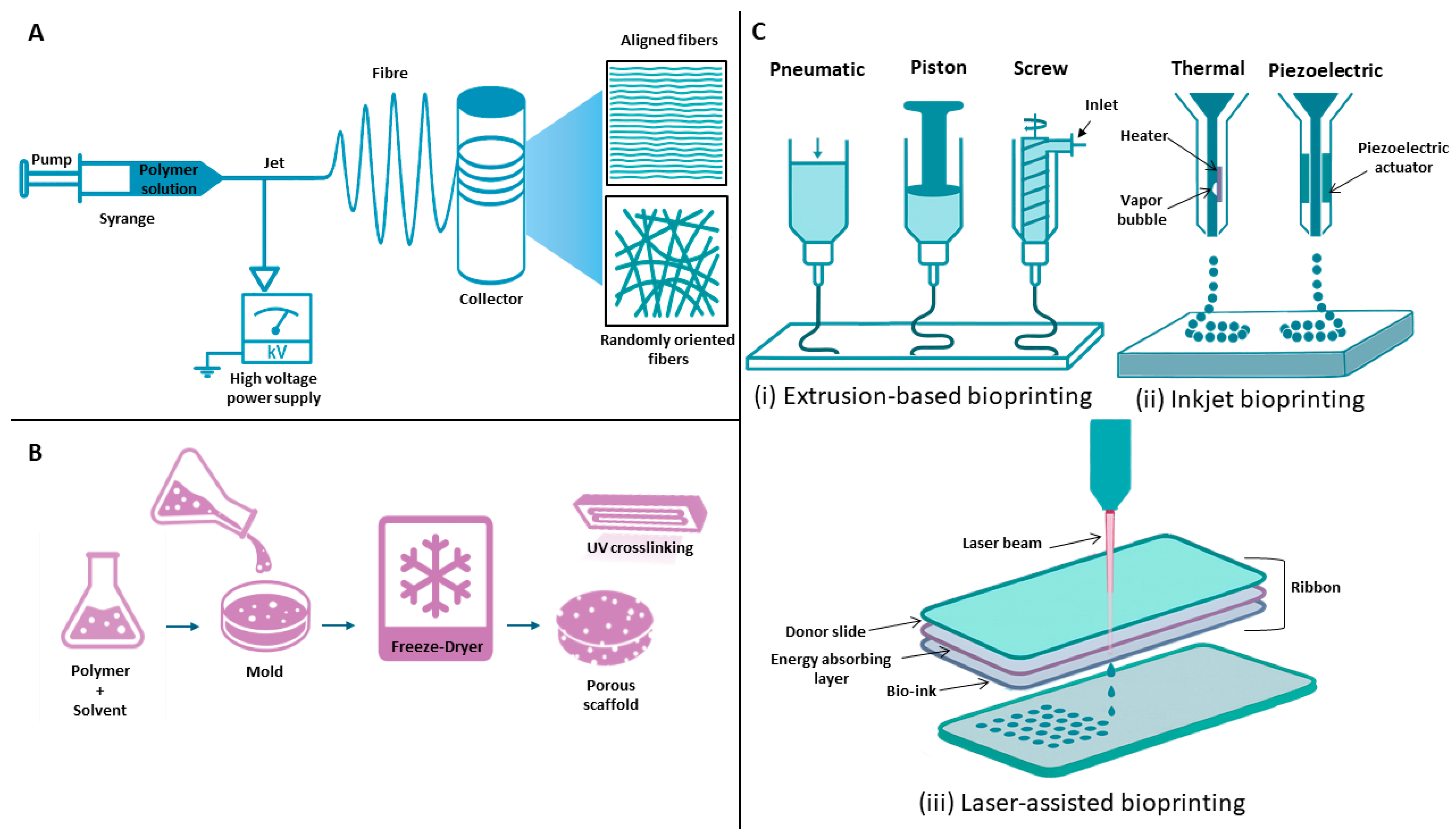Jfb 16 00403 g005 Jfb 16 00403 g005