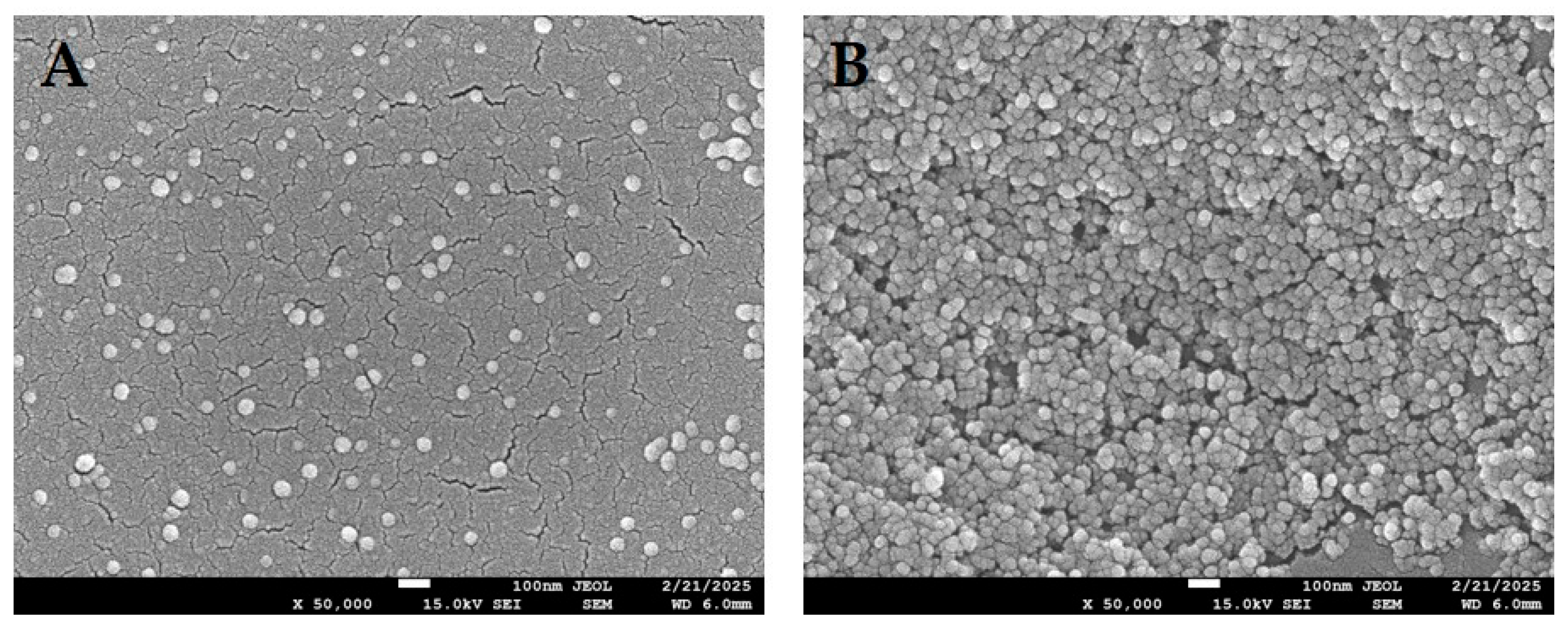 Jfb 16 00403 g006 Jfb 16 00403 g006