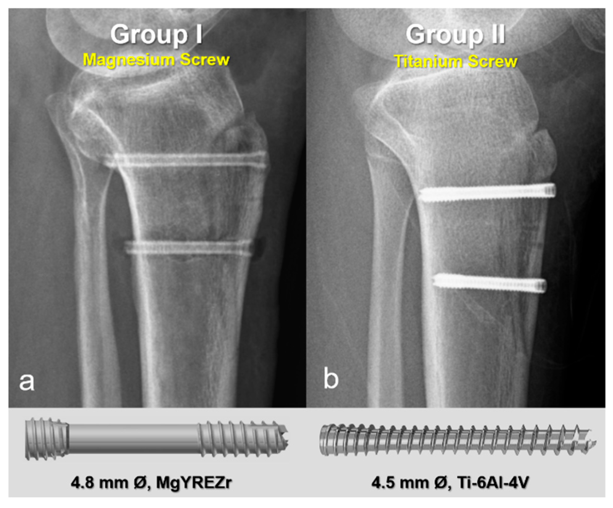Jfb 16 00404 g002 Jfb 16 00404 g002