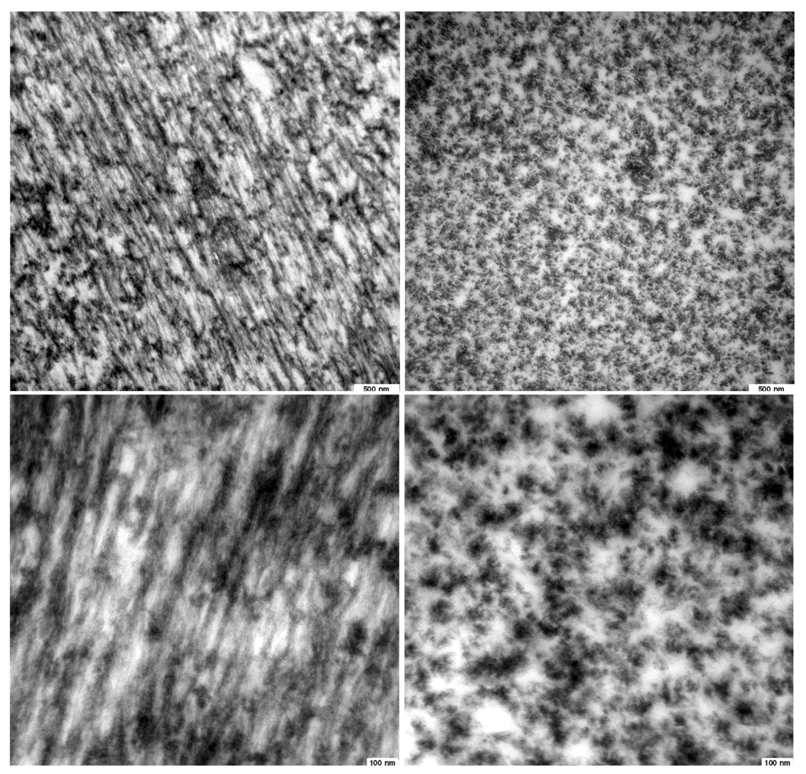 Jfb 16 00405 g005b Jfb 16 00405 g005b