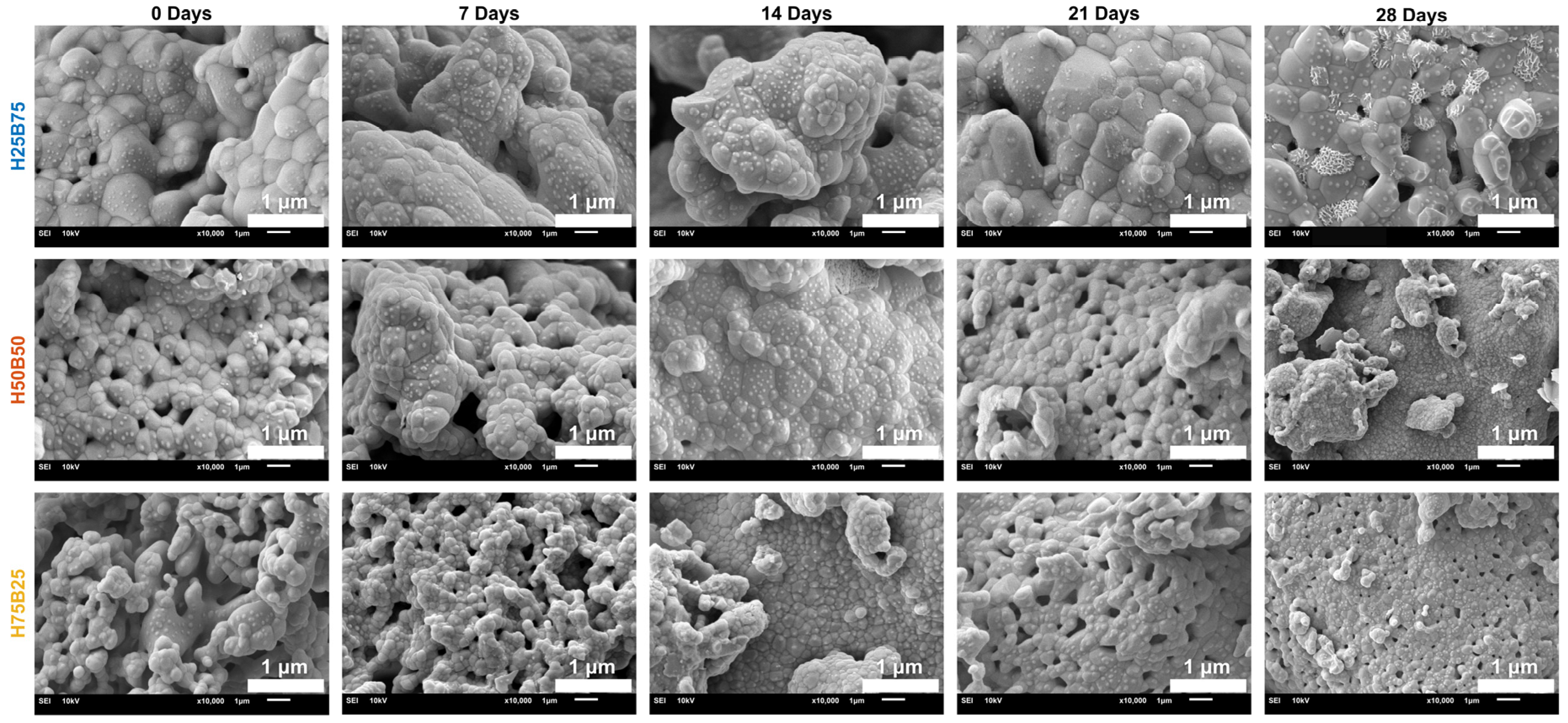 Jfb 16 00407 g006 Jfb 16 00407 g006