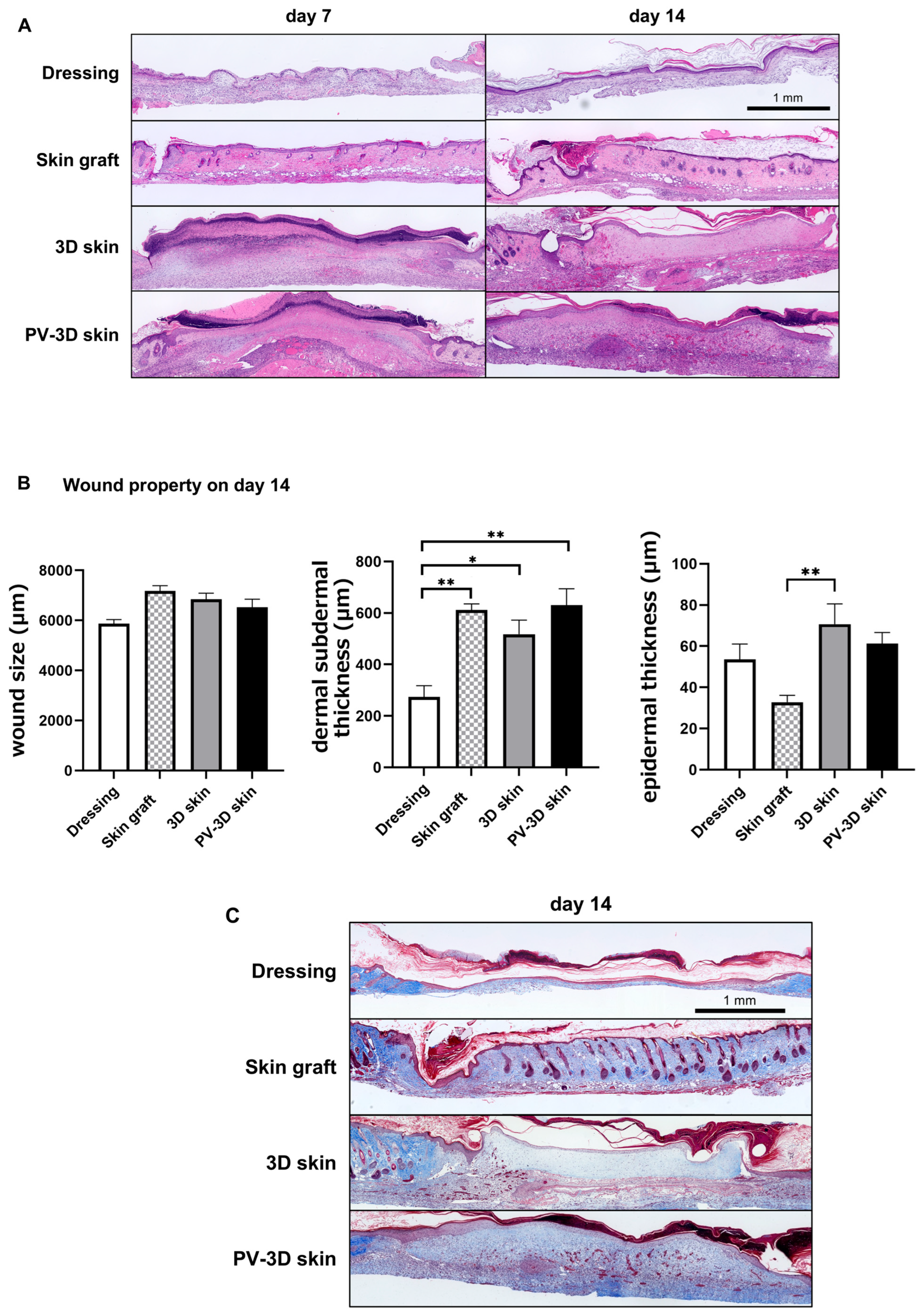 Jfb 16 00409 g004 Jfb 16 00409 g004