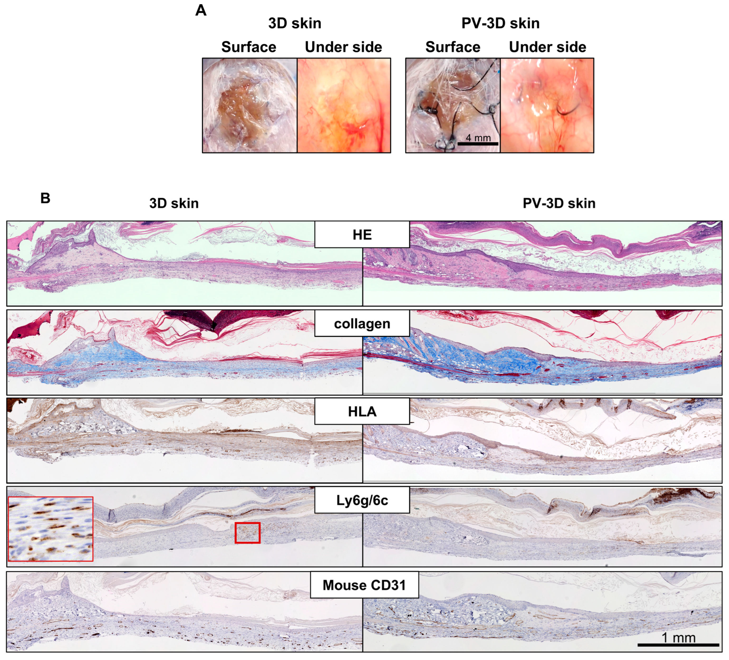 Jfb 16 00409 g008 Jfb 16 00409 g008