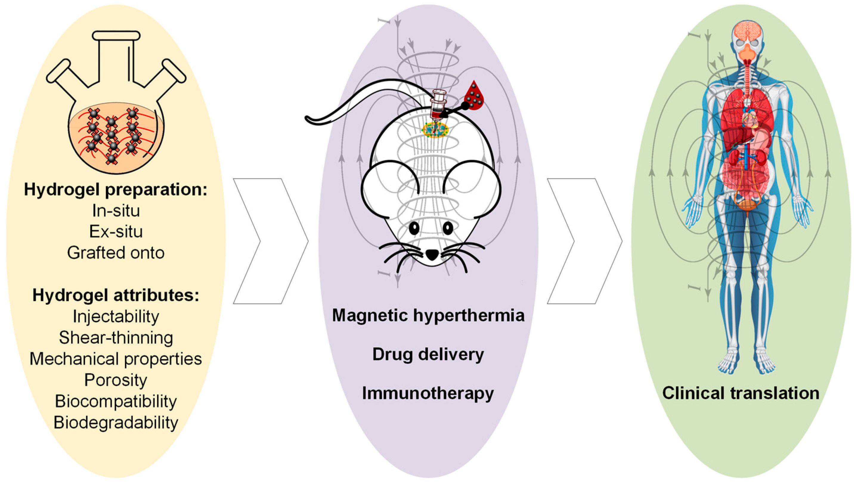 Jfb 16 00414 g001 Jfb 16 00414 g001